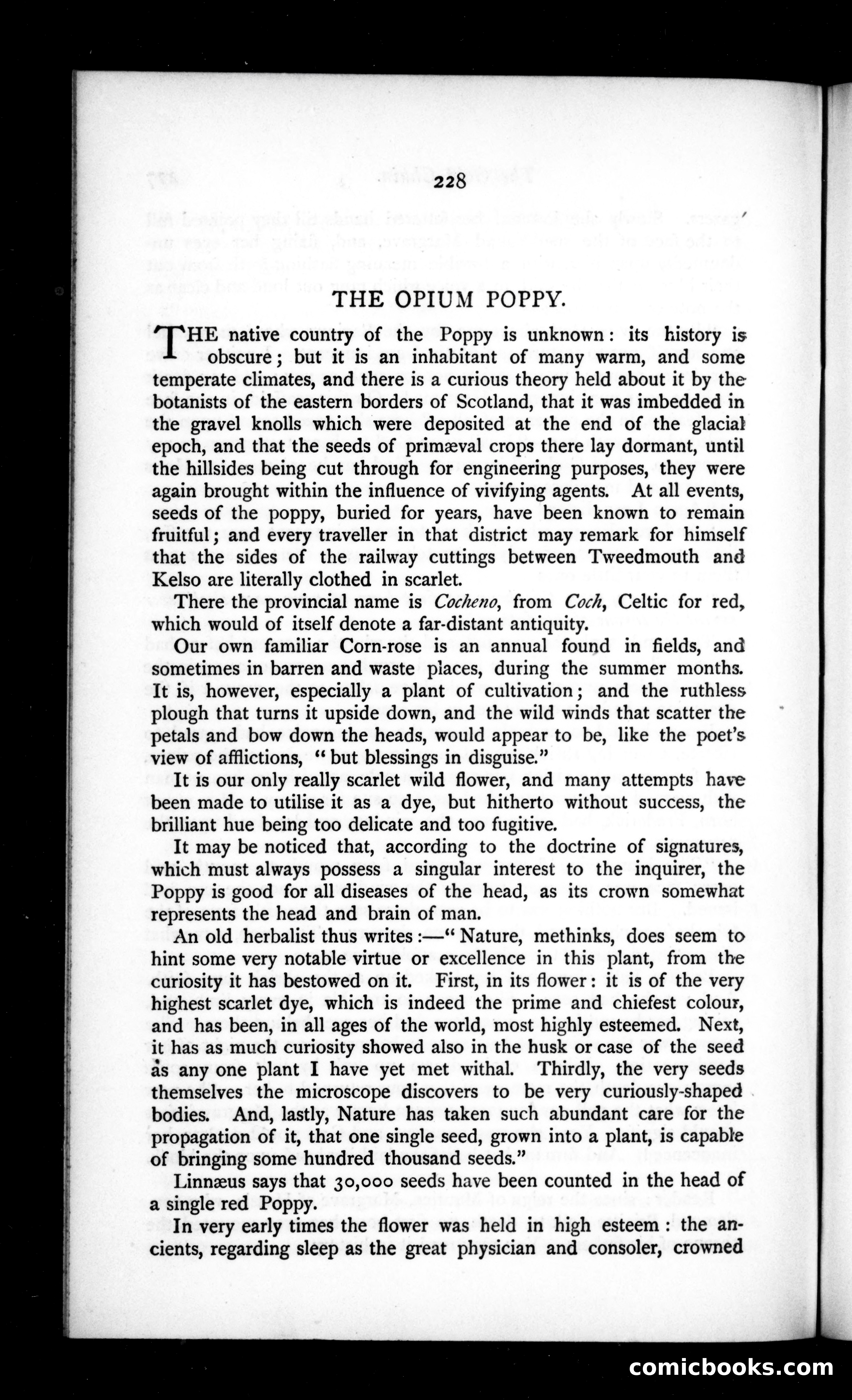 The Argosy, Vol. 34 — page 68 of 82