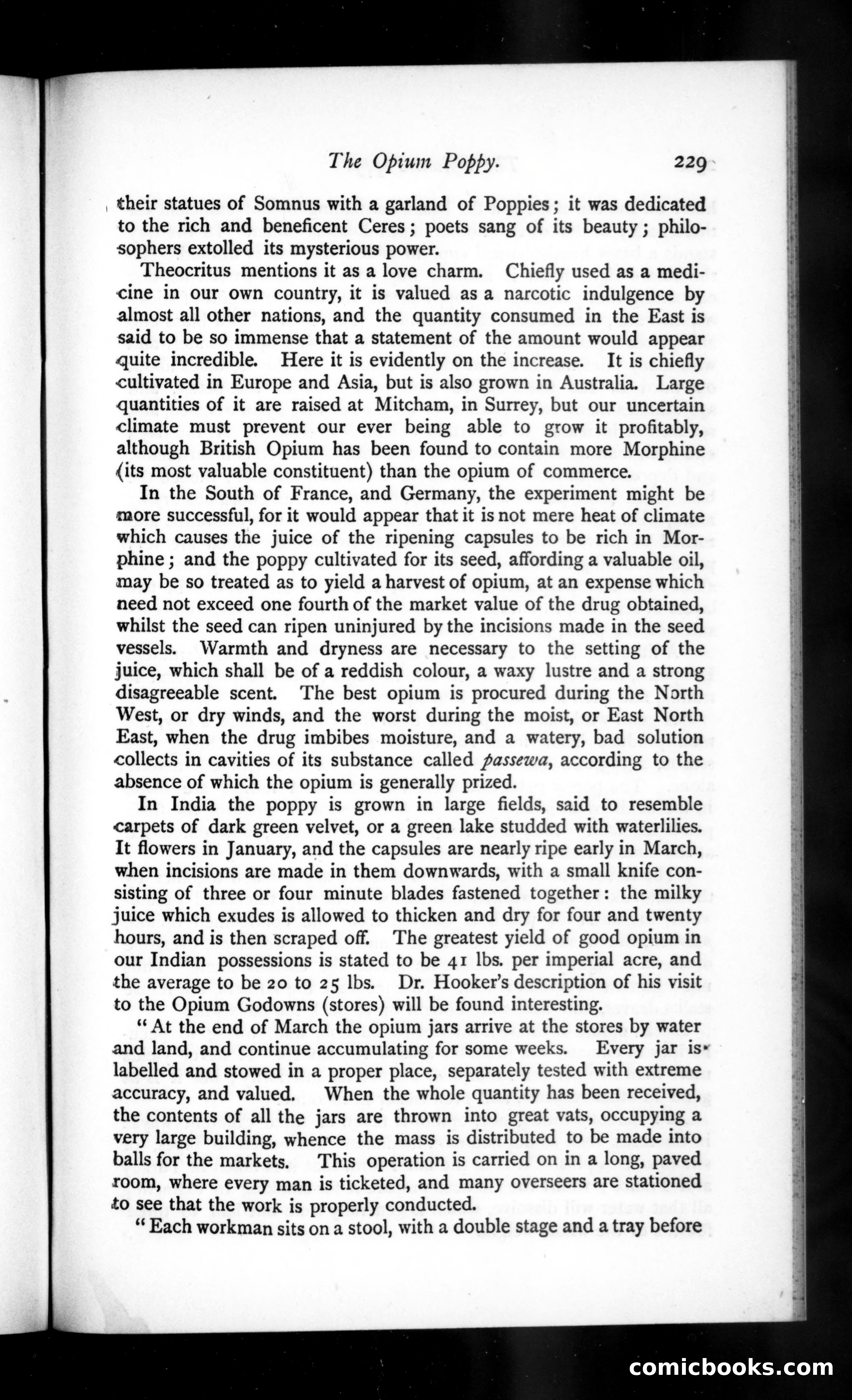 The Argosy, Vol. 34 — page 69 of 82
