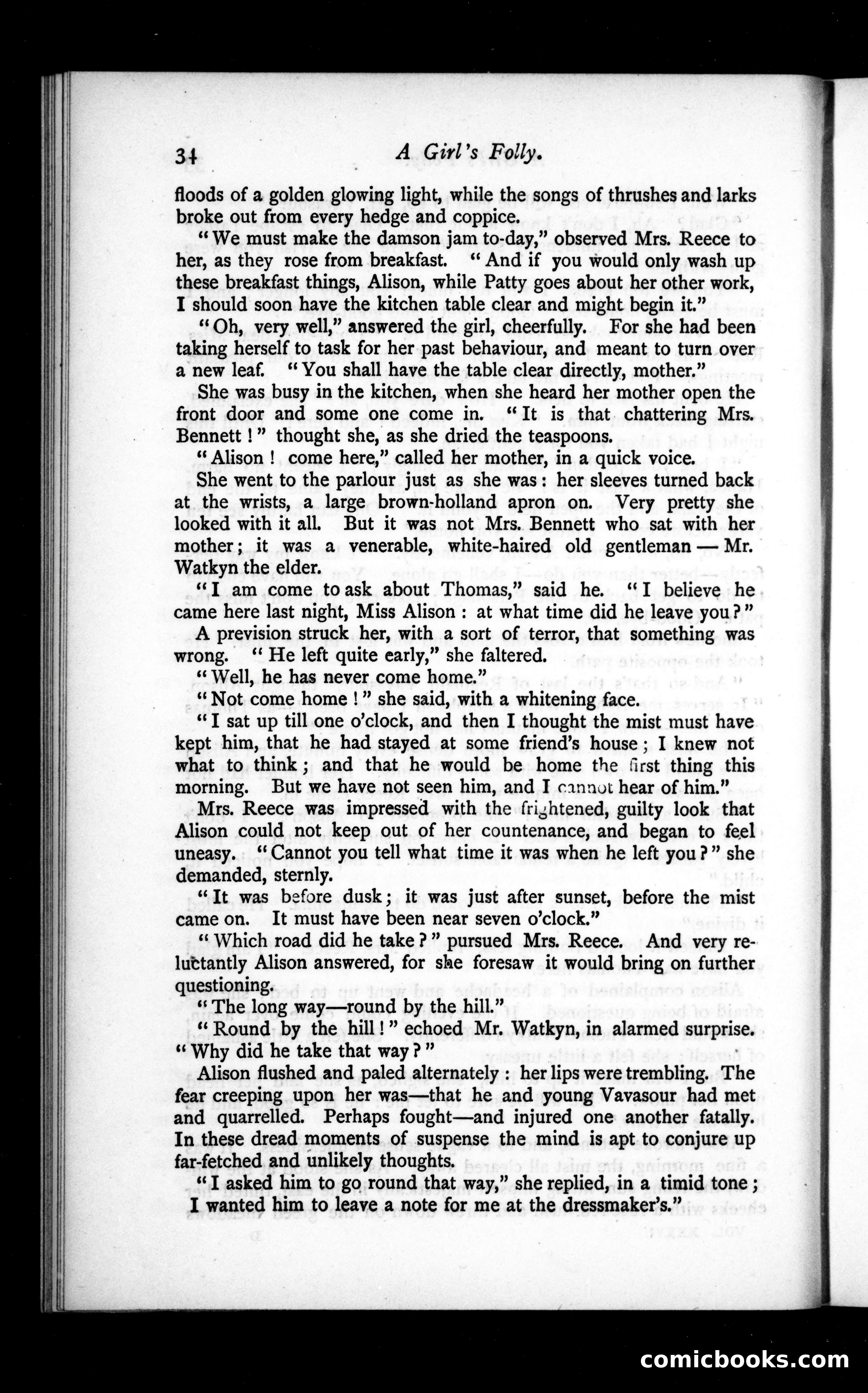 The Argosy, Vol. 36 — page 34 of 86
