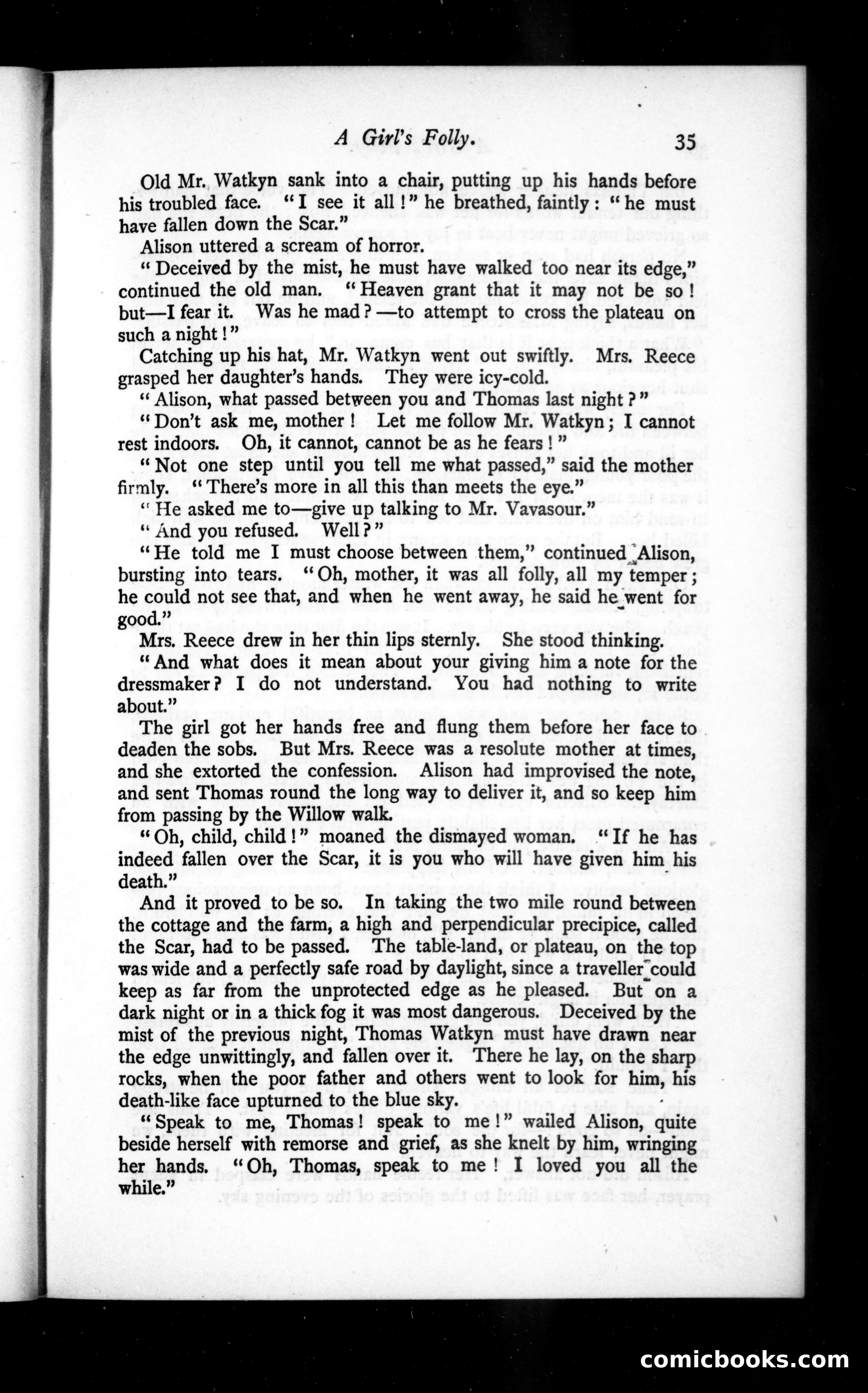 The Argosy, Vol. 36 — page 35 of 86