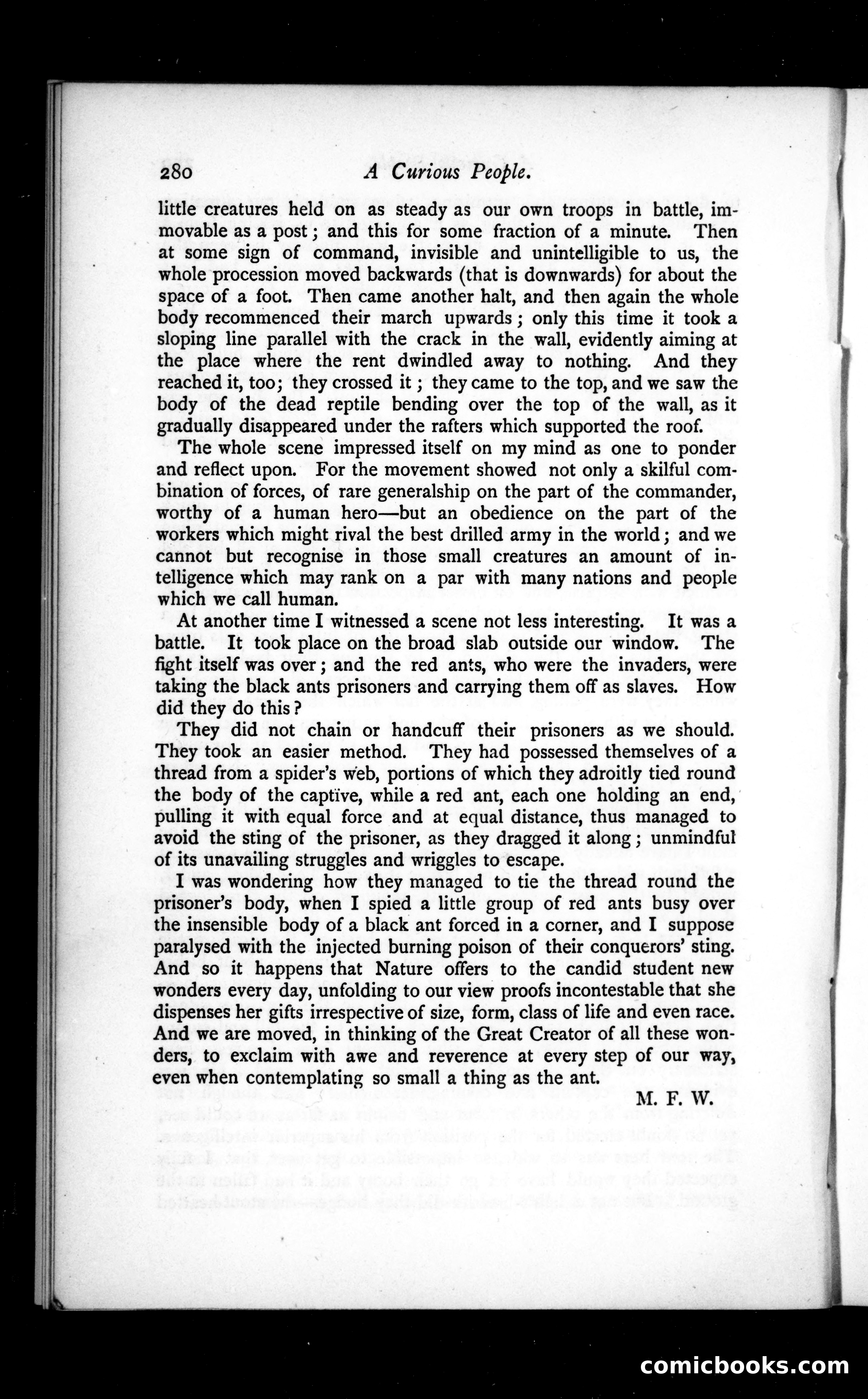 The Argosy, Vol. 36 — page 28 of 86