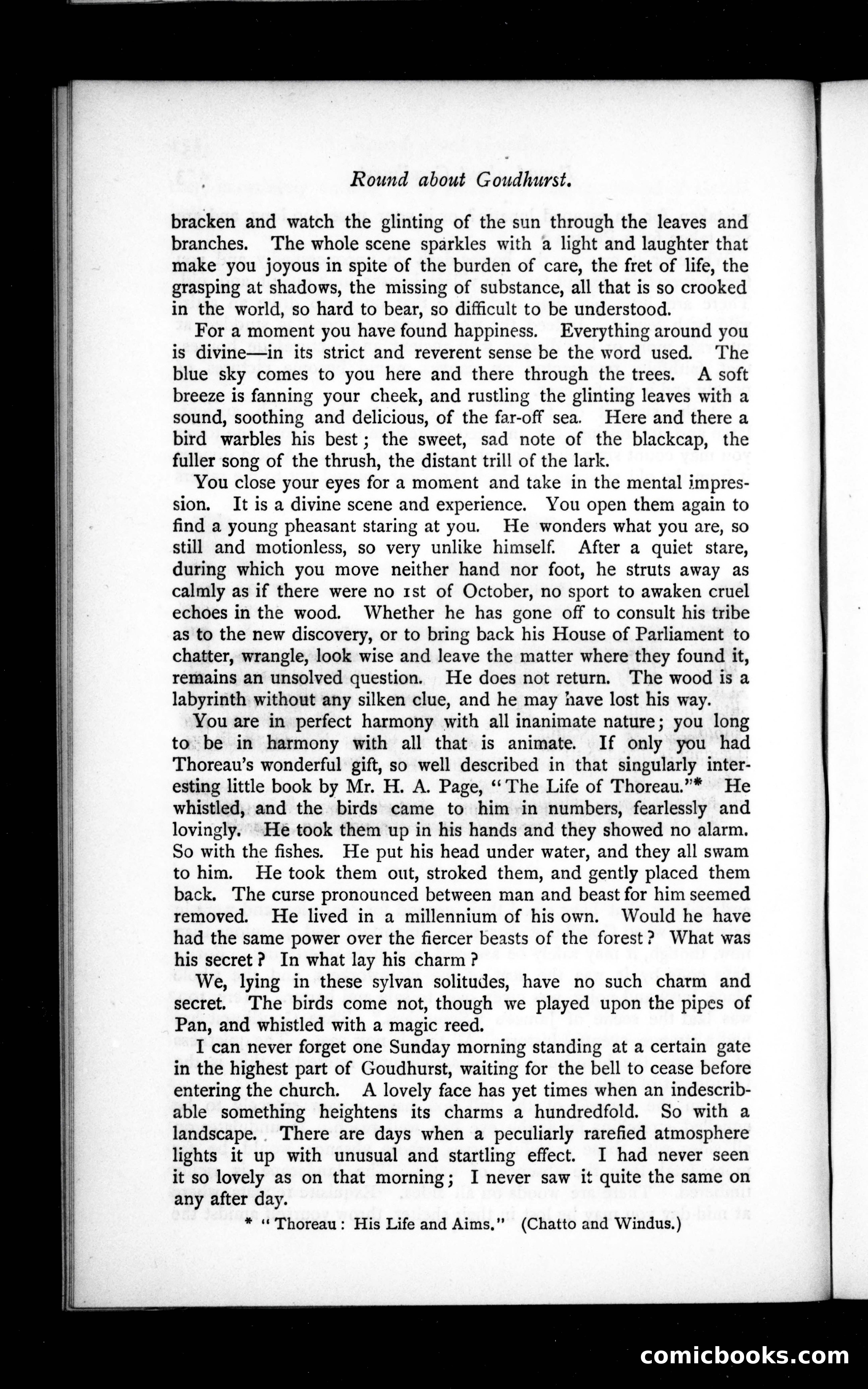 The Argosy, Vol. 36 — page 38 of 129