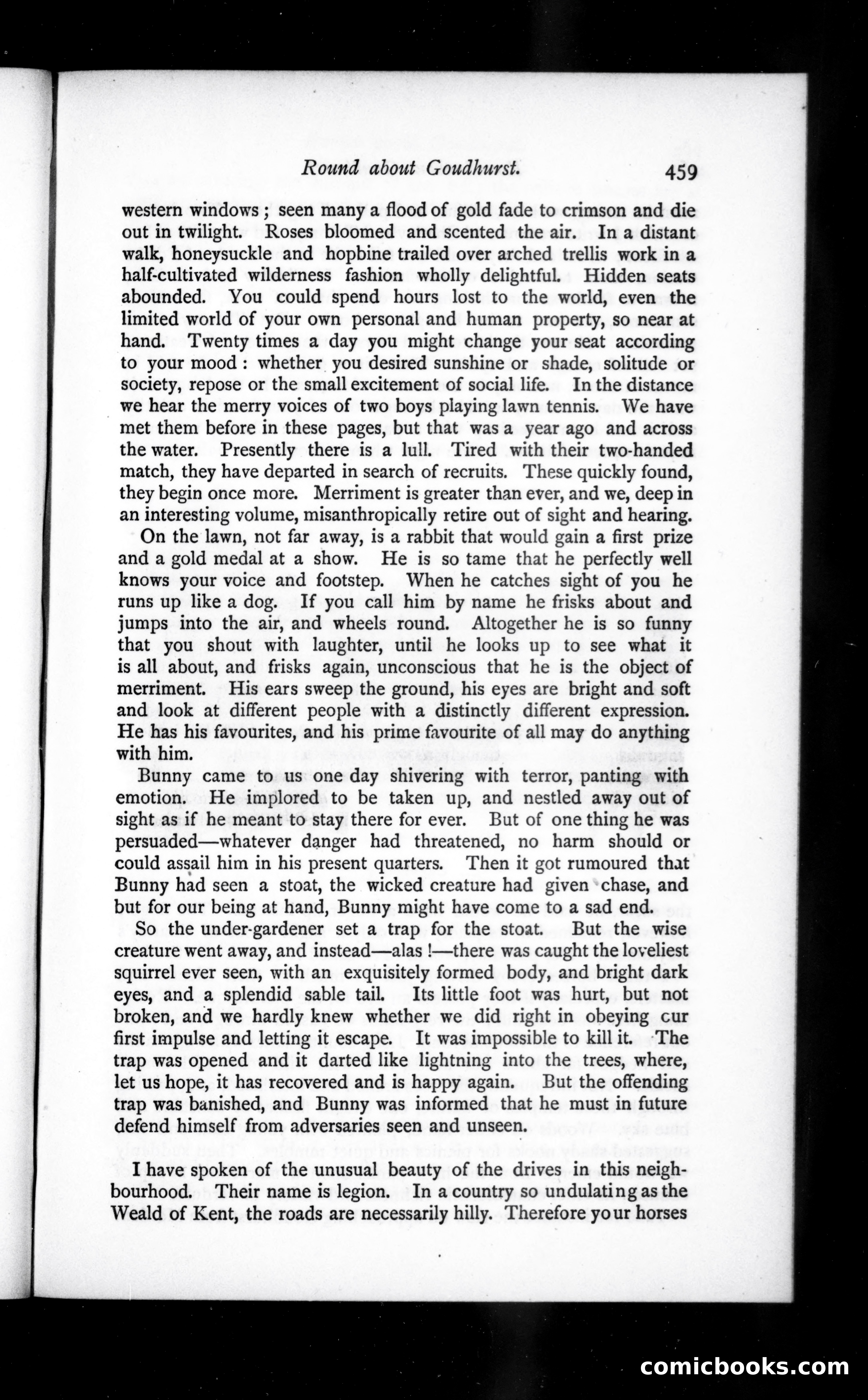 The Argosy, Vol. 36 — page 43 of 129