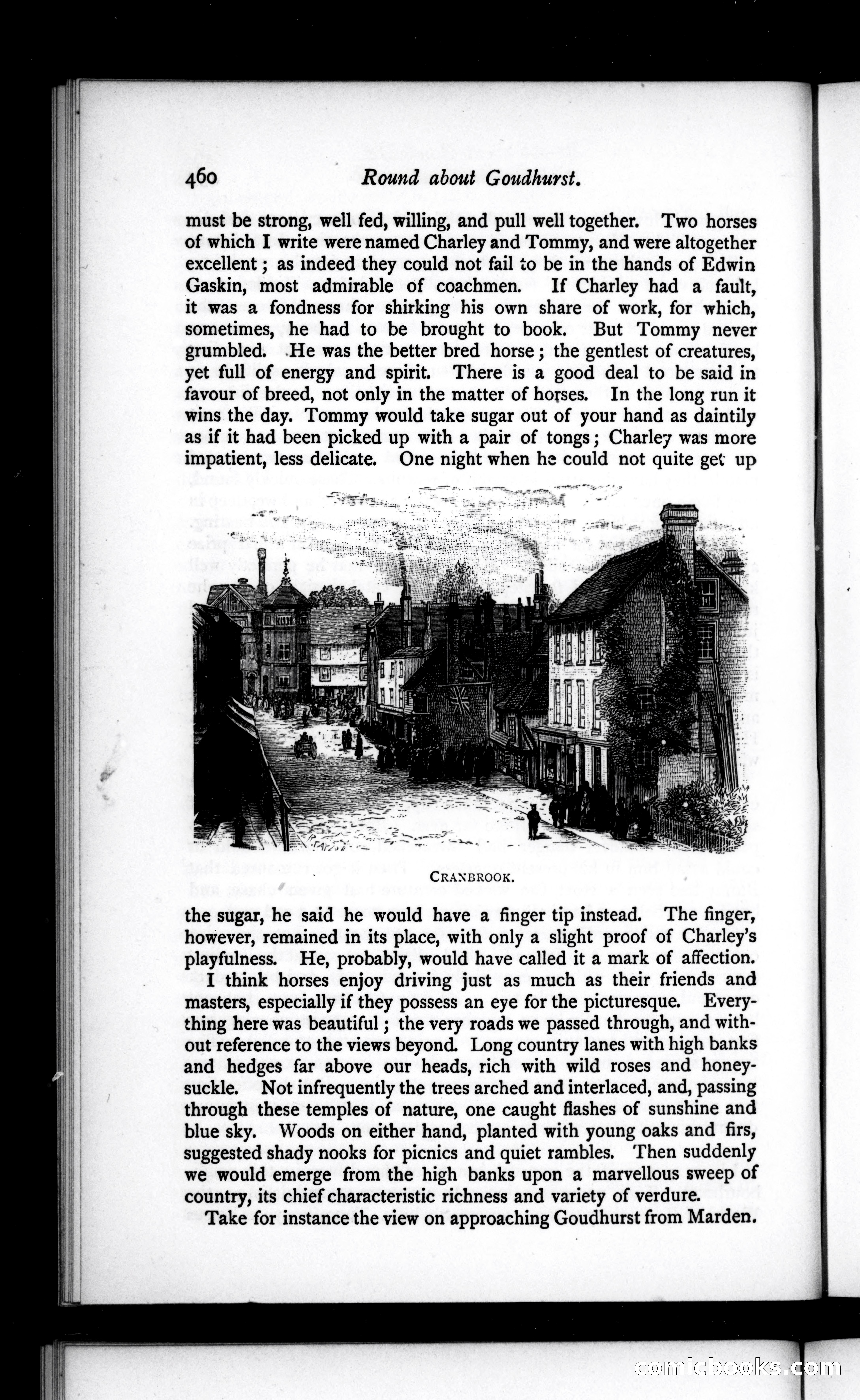 The Argosy, Vol. 36 — page 44 of 129