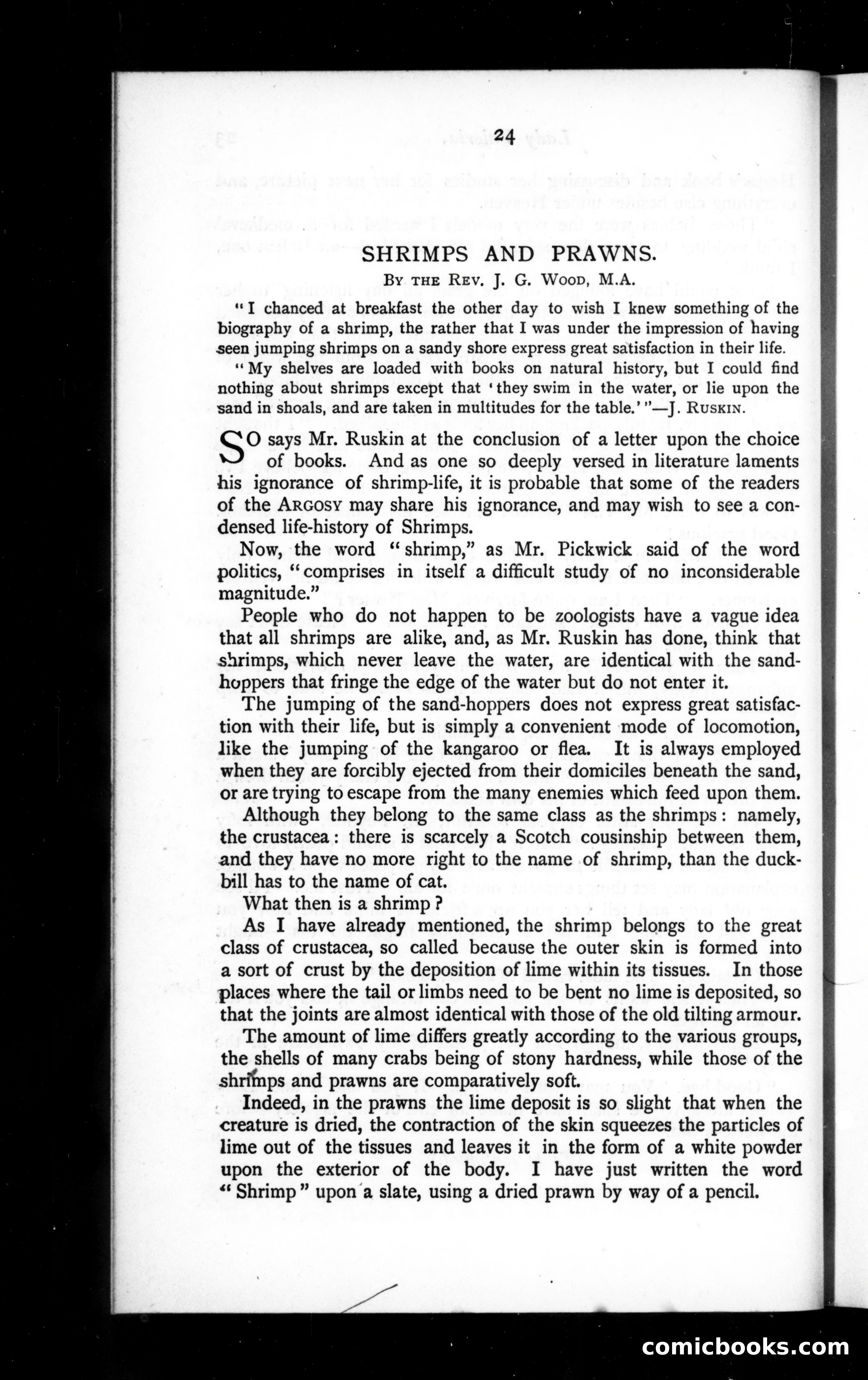 The Argosy, Vol. 42 — page 24 of 82