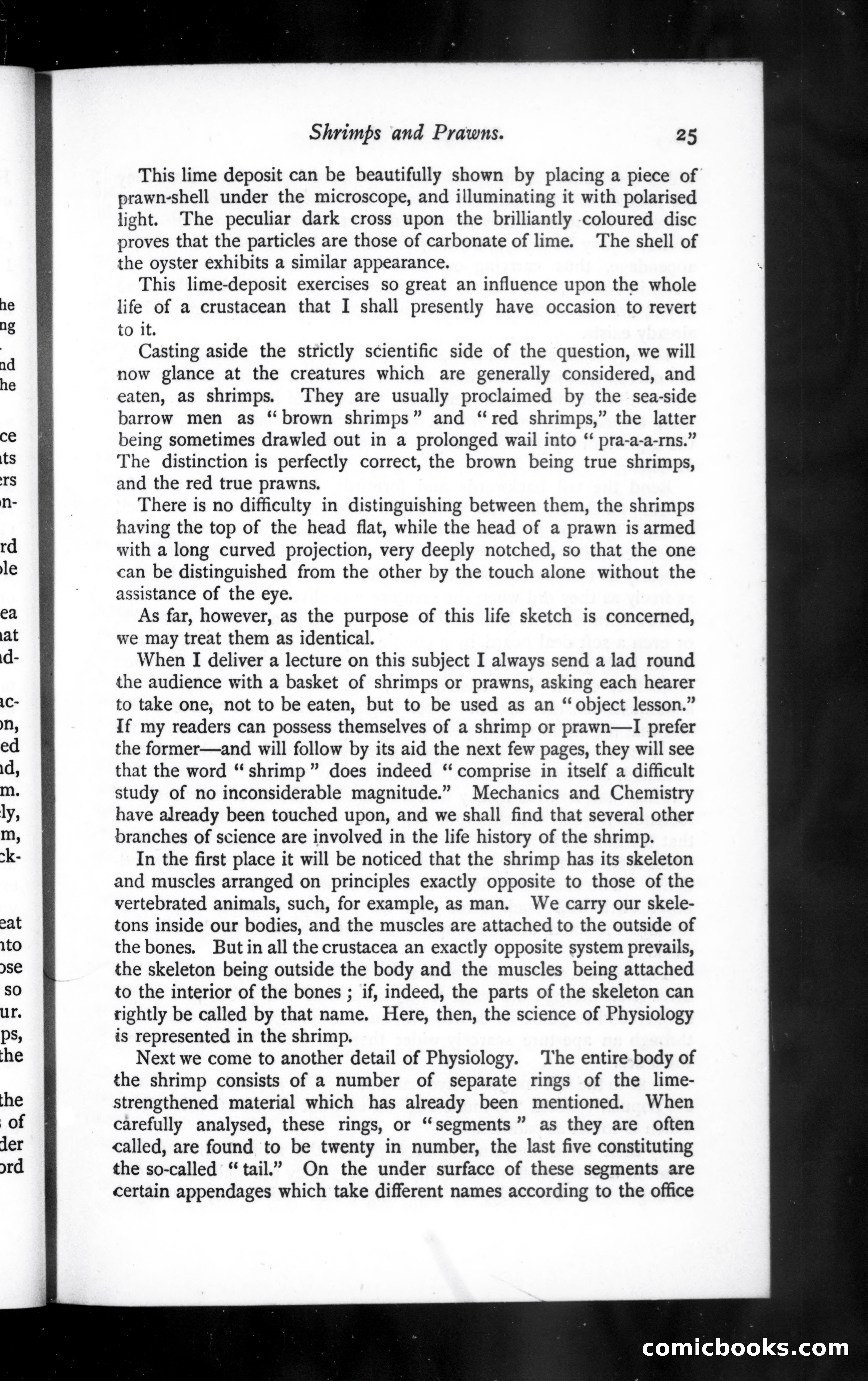 The Argosy, Vol. 42 — page 25 of 82