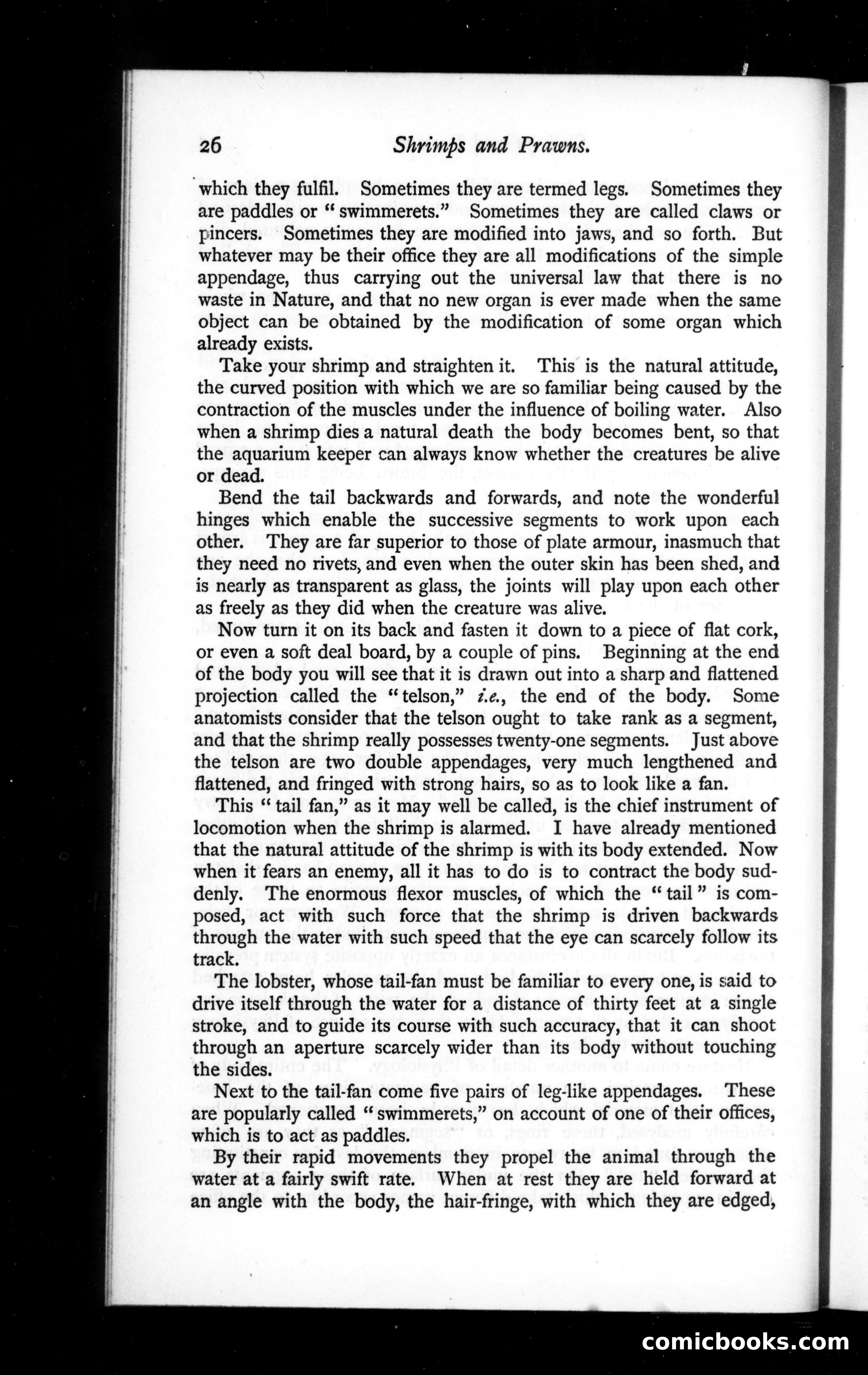 The Argosy, Vol. 42 — page 26 of 82
