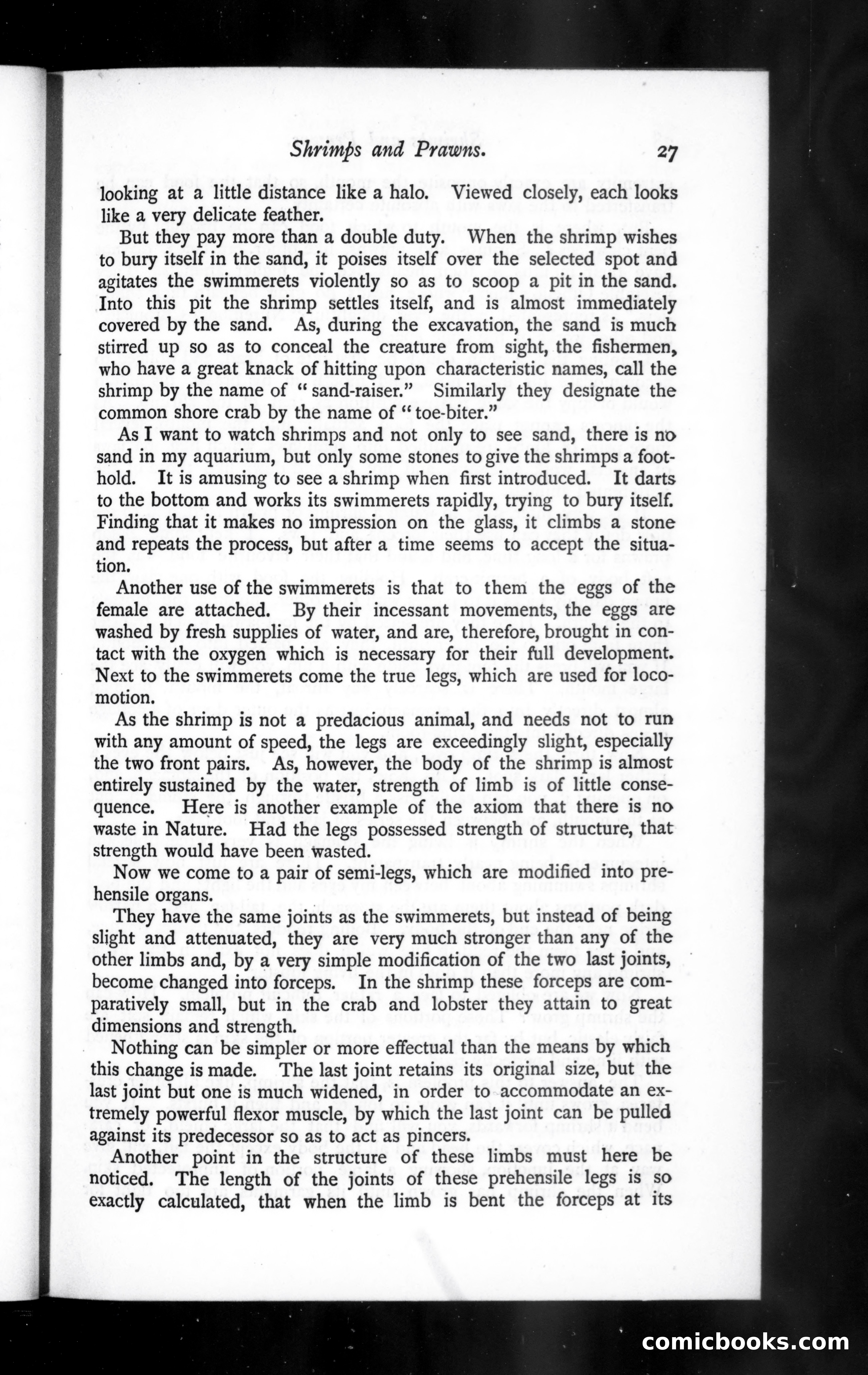 The Argosy, Vol. 42 — page 27 of 82