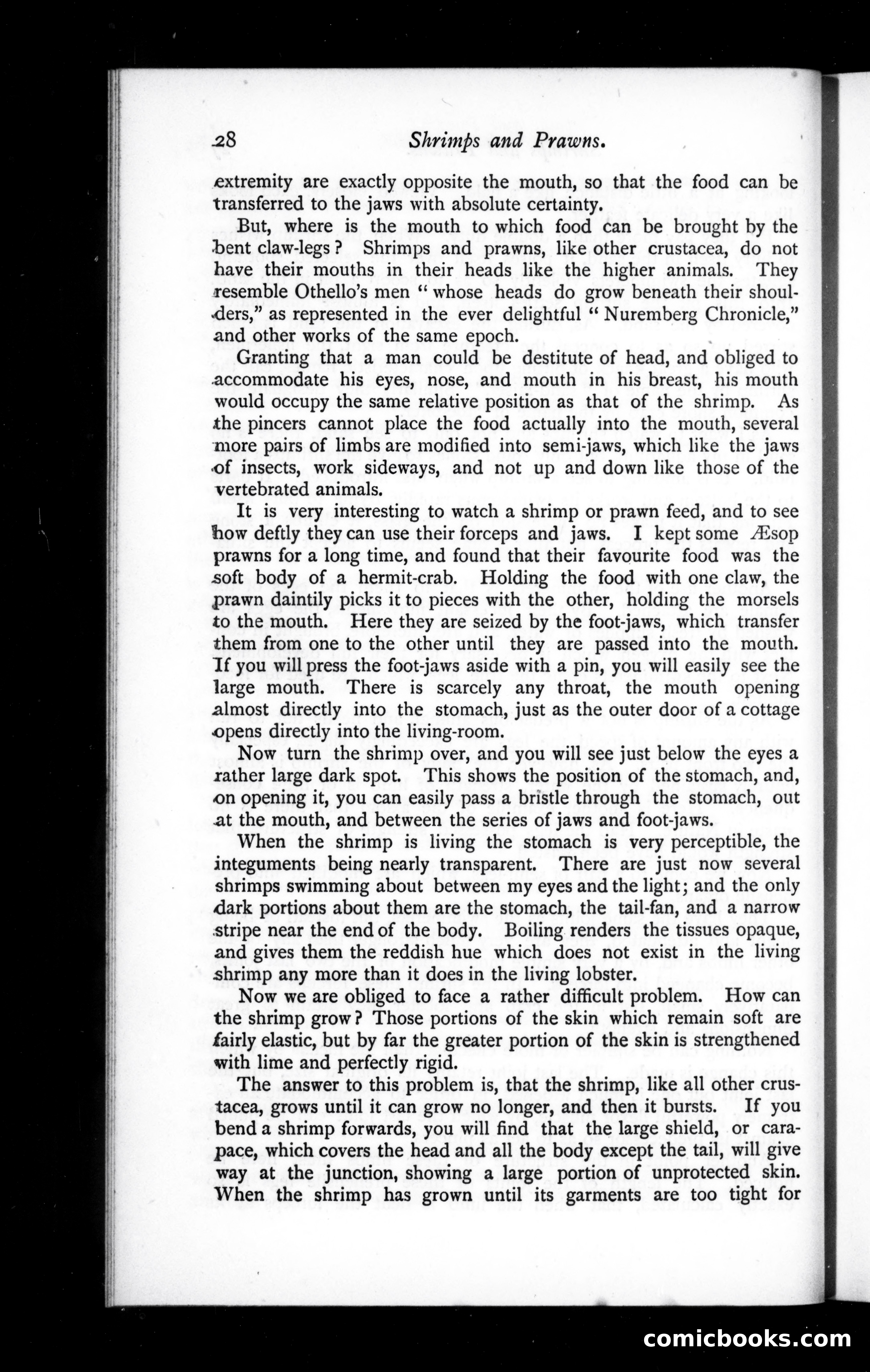 The Argosy, Vol. 42 — page 28 of 82