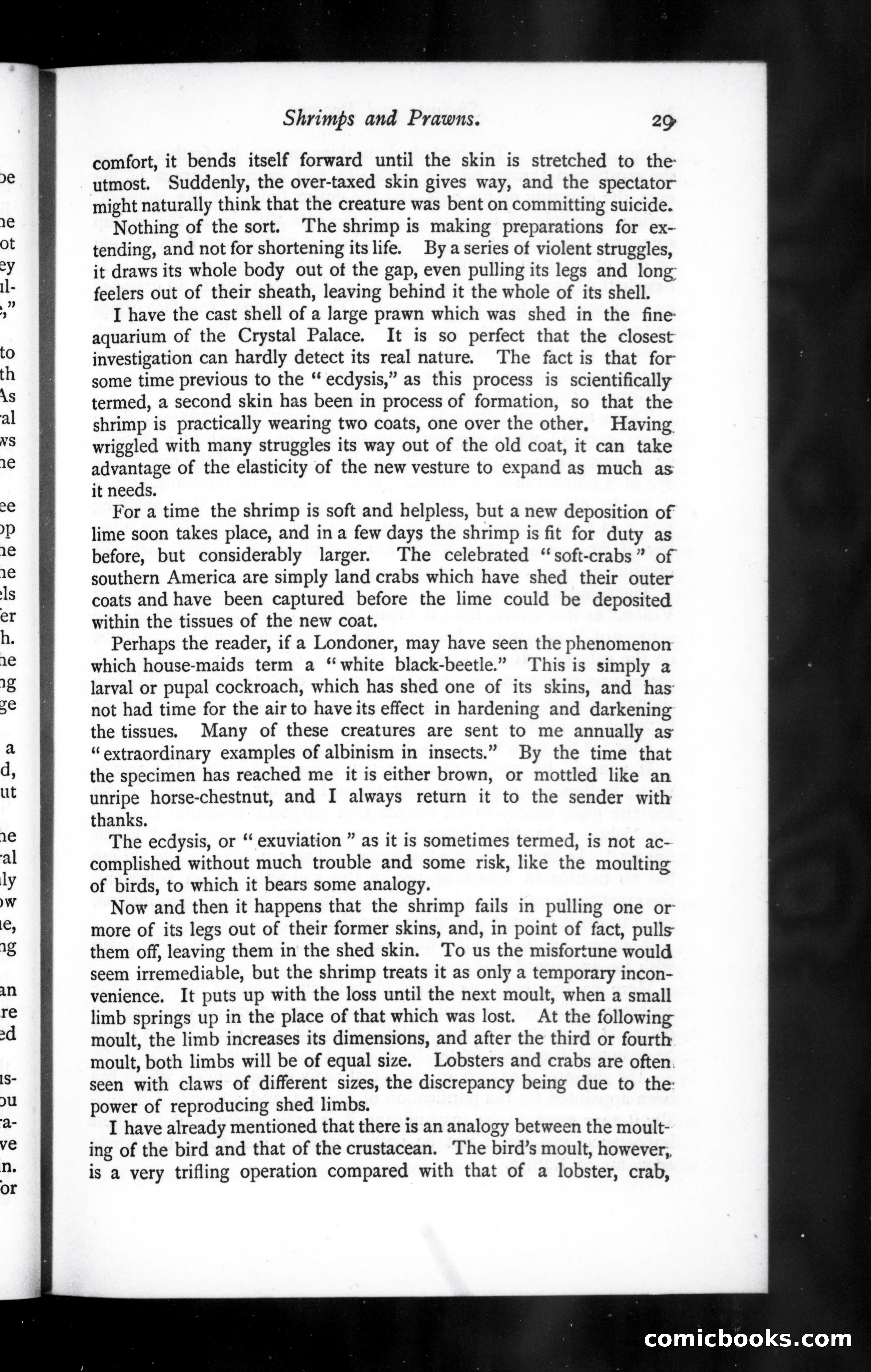 The Argosy, Vol. 42 — page 29 of 82