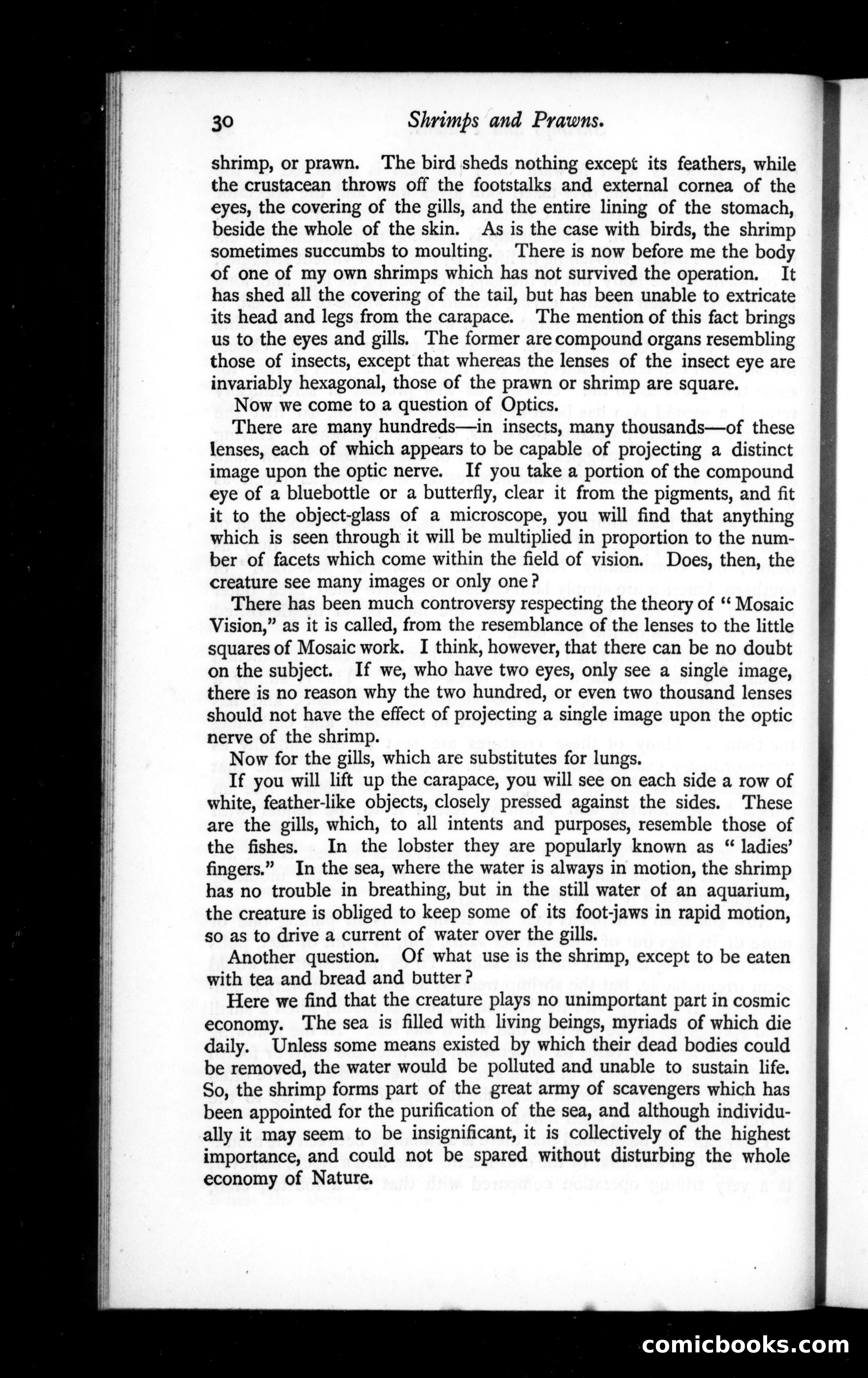 The Argosy, Vol. 42 — page 30 of 82