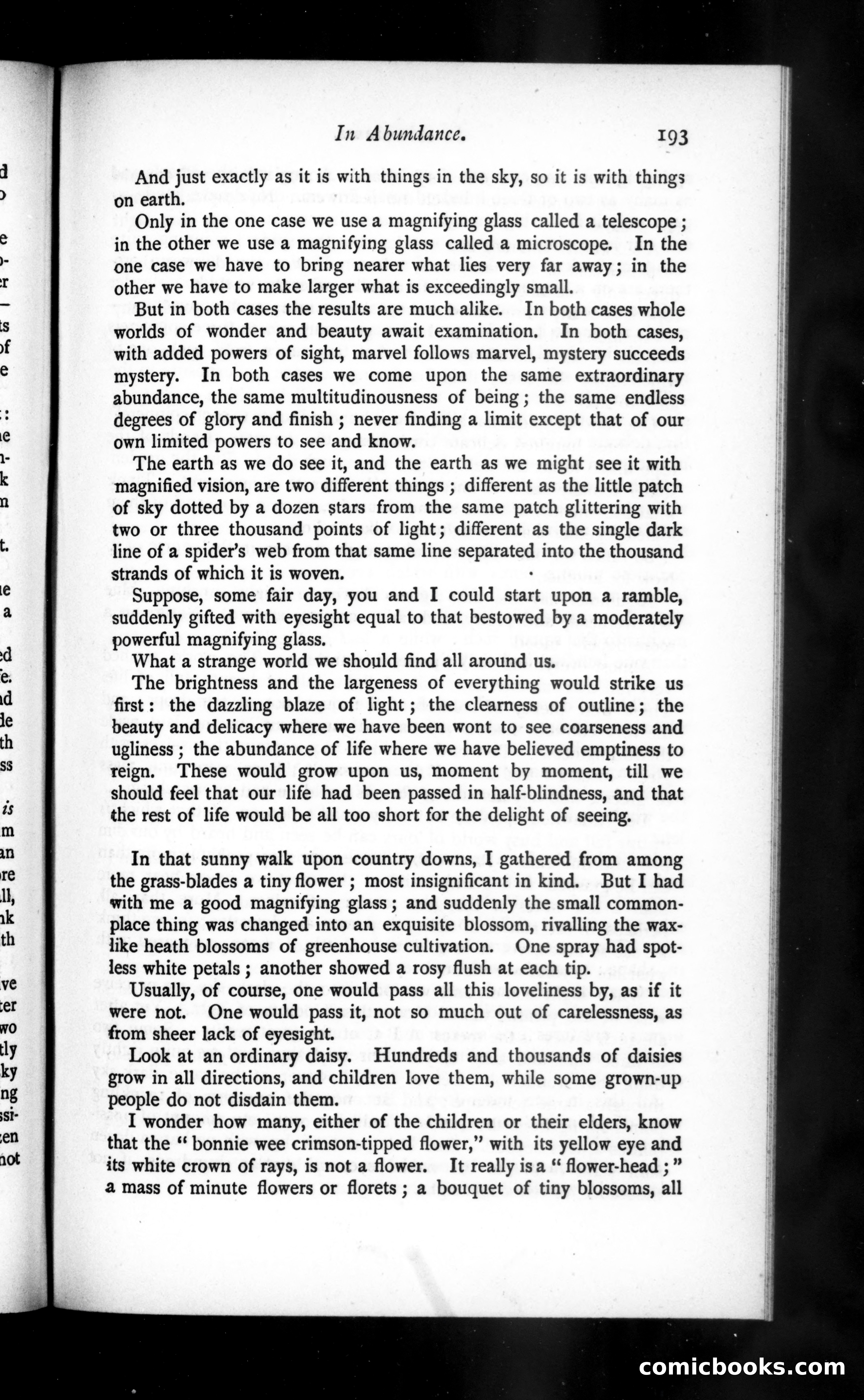 The Argosy, Vol. 45 — page 29 of 86