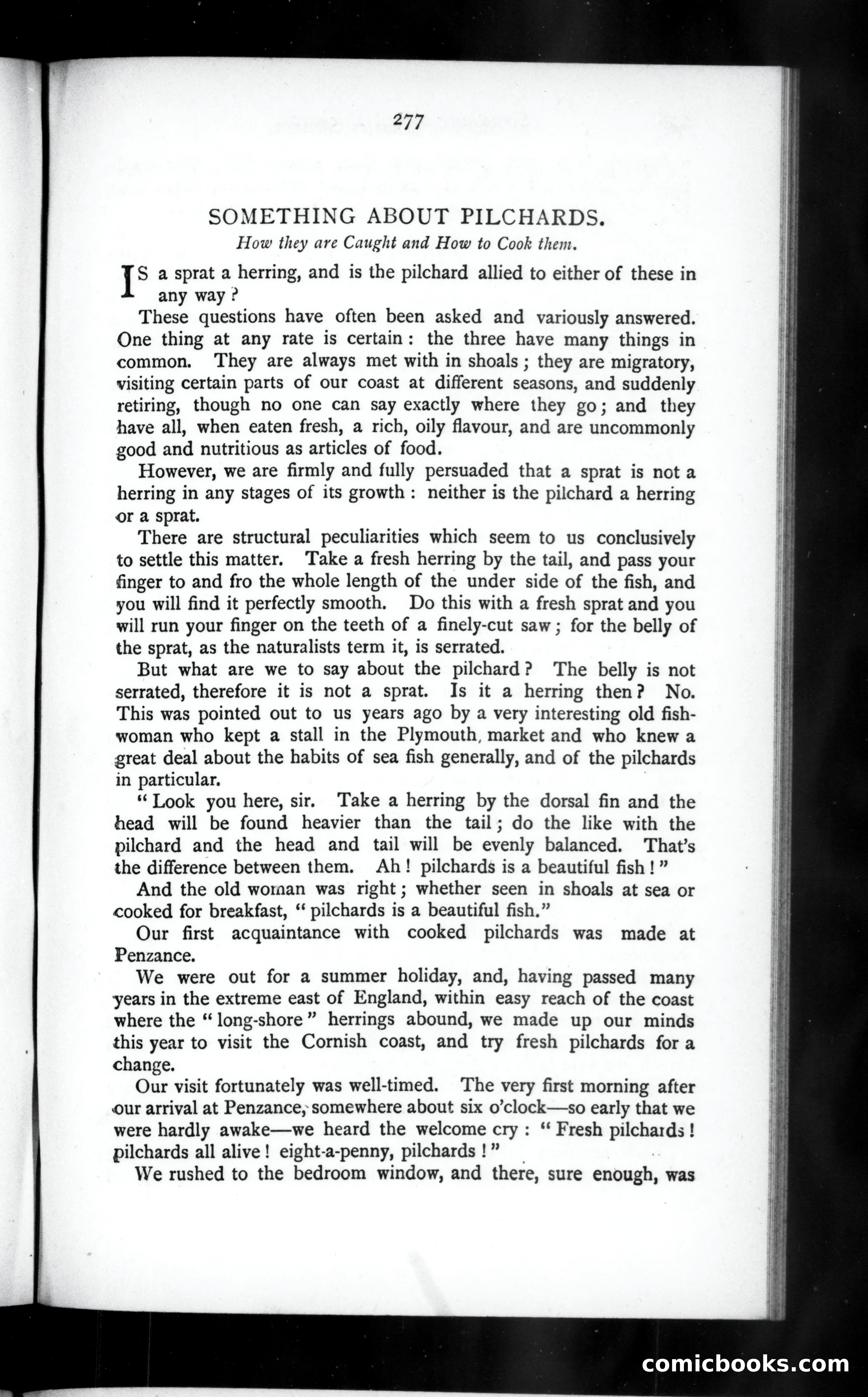 The Argosy, Vol. 45 — page 29 of 83