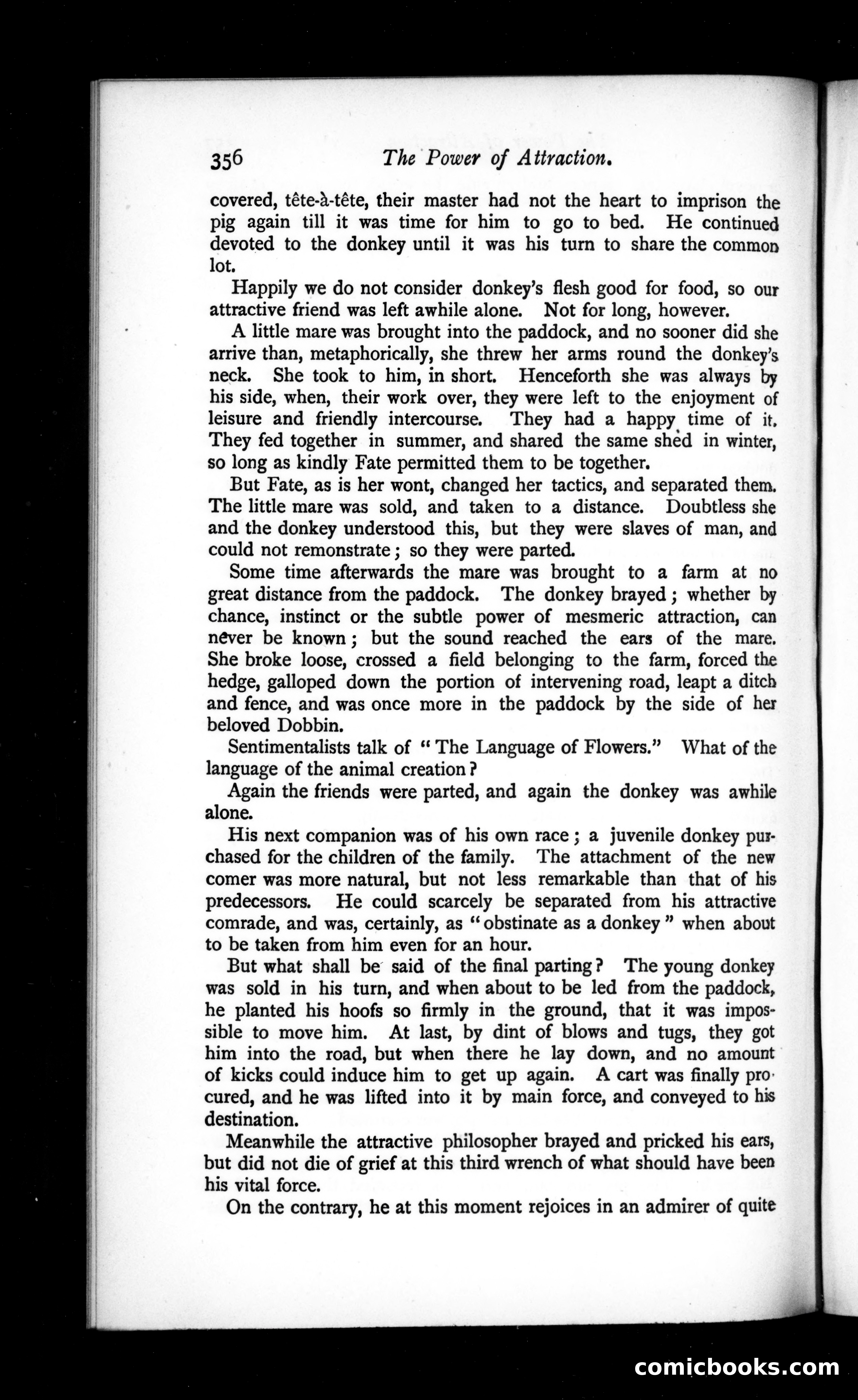 The Argosy, Vol. 45 — page 28 of 84
