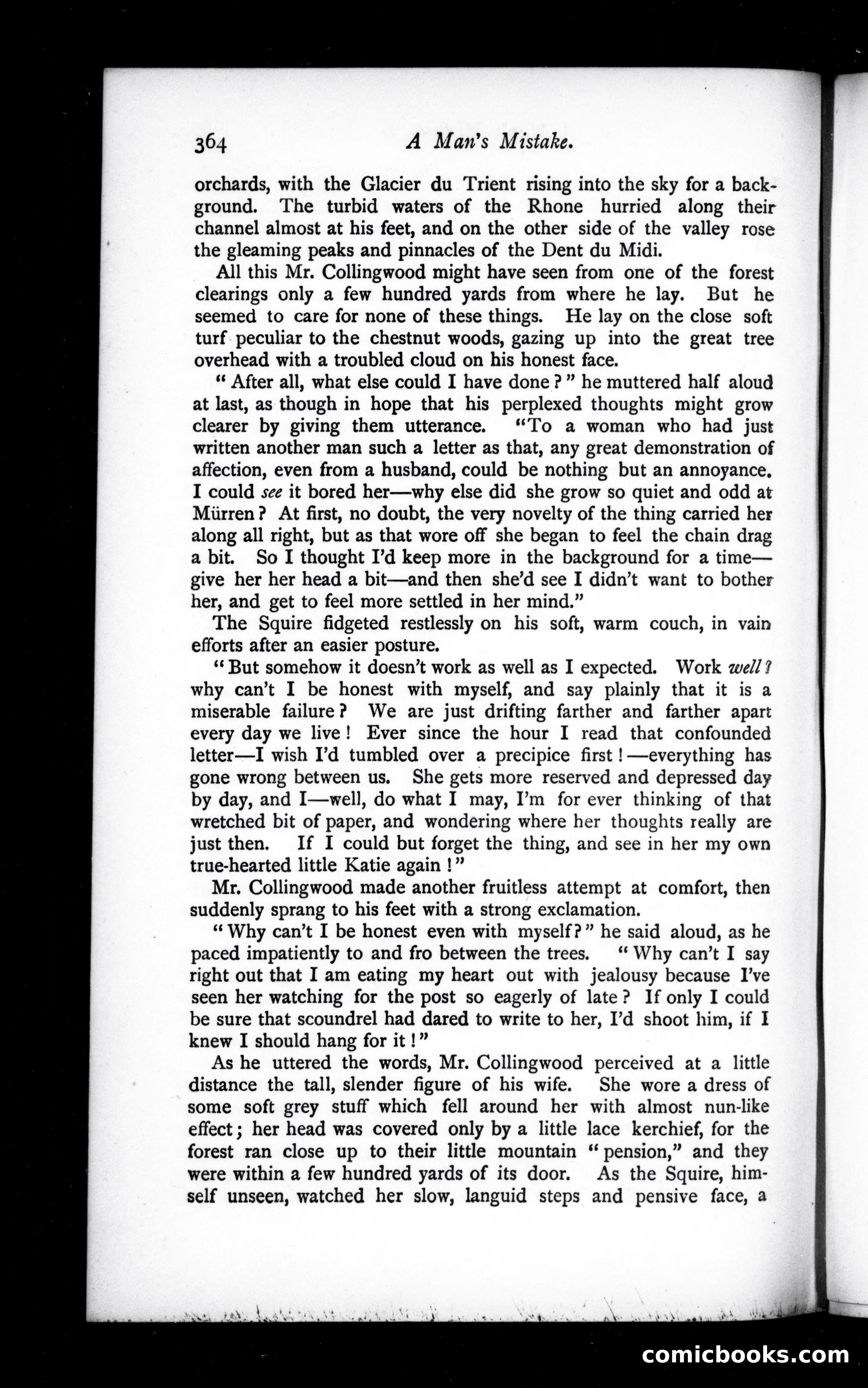The Argosy, Vol. 45 — page 36 of 84