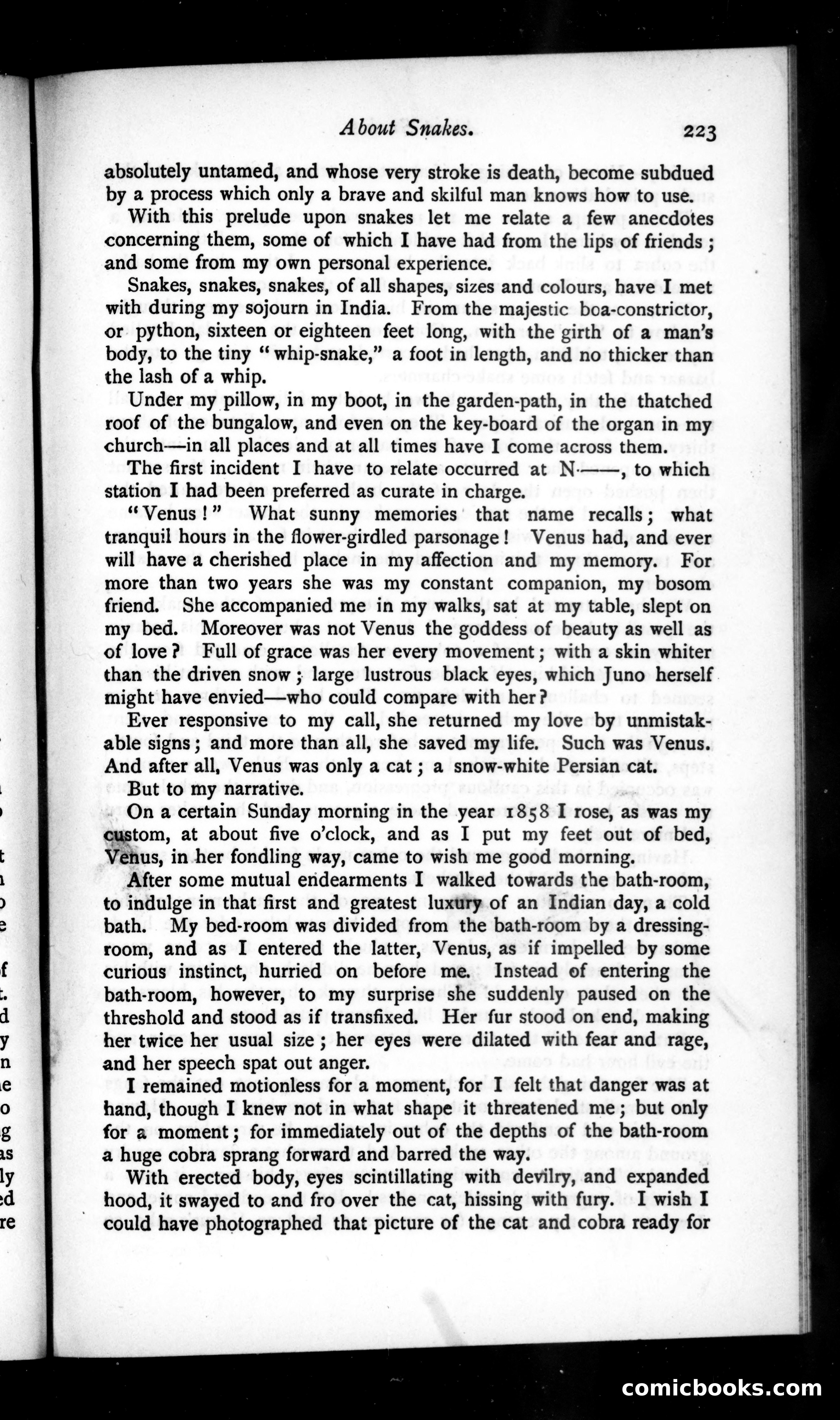 The Argosy, Vol. 48 — page 47 of 90
