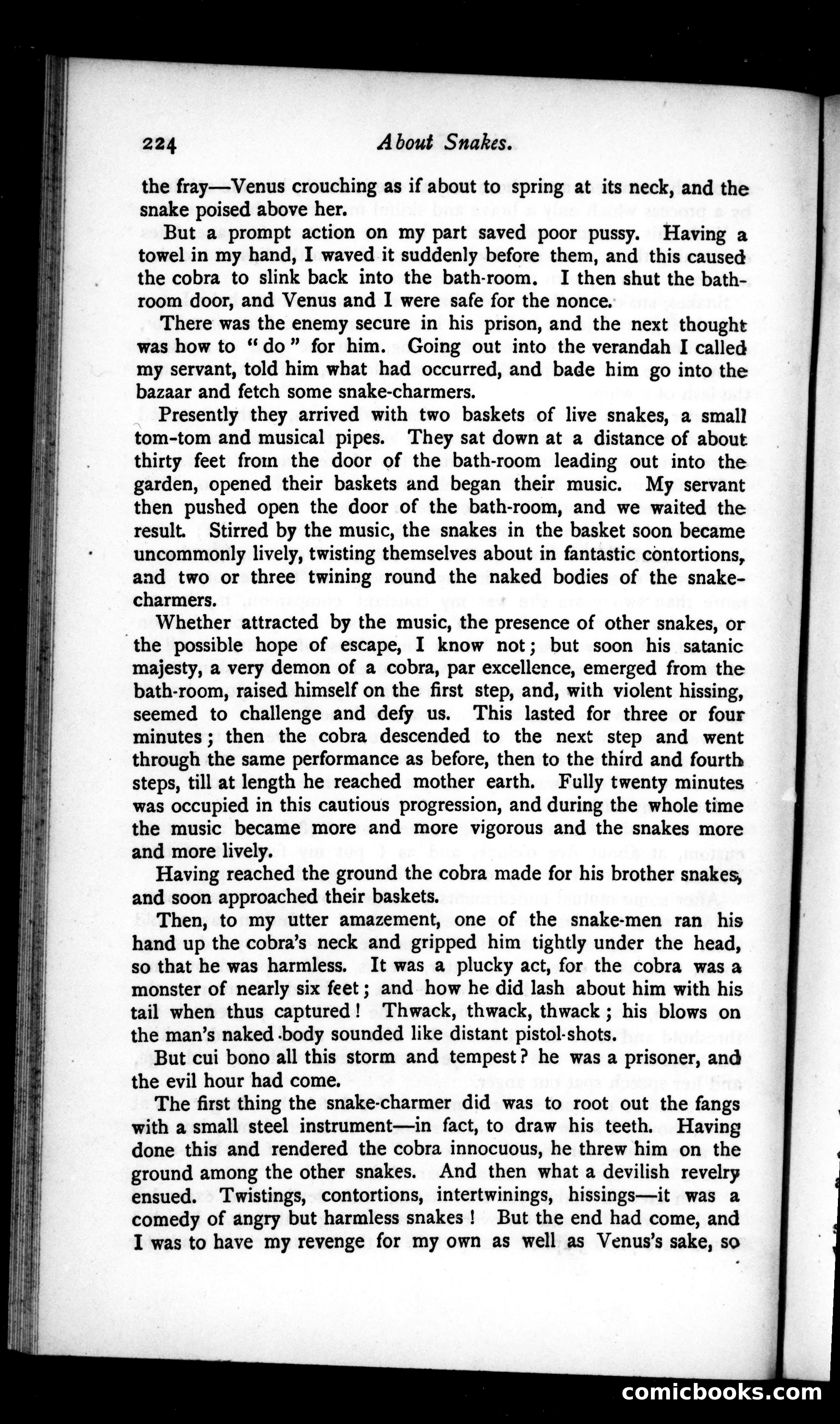 The Argosy, Vol. 48 — page 48 of 90