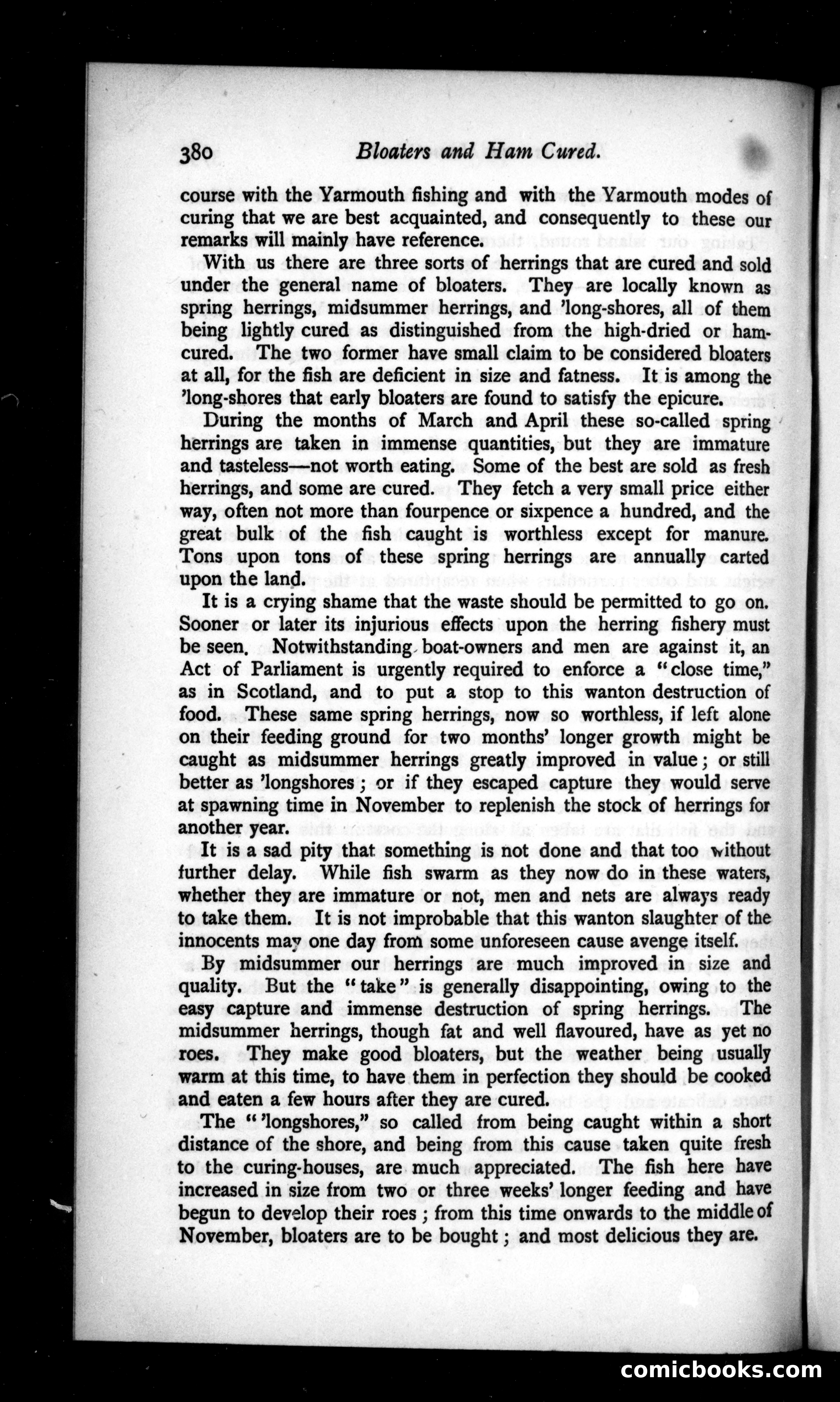 The Argosy, Vol. XLVIII — page 28 of 90