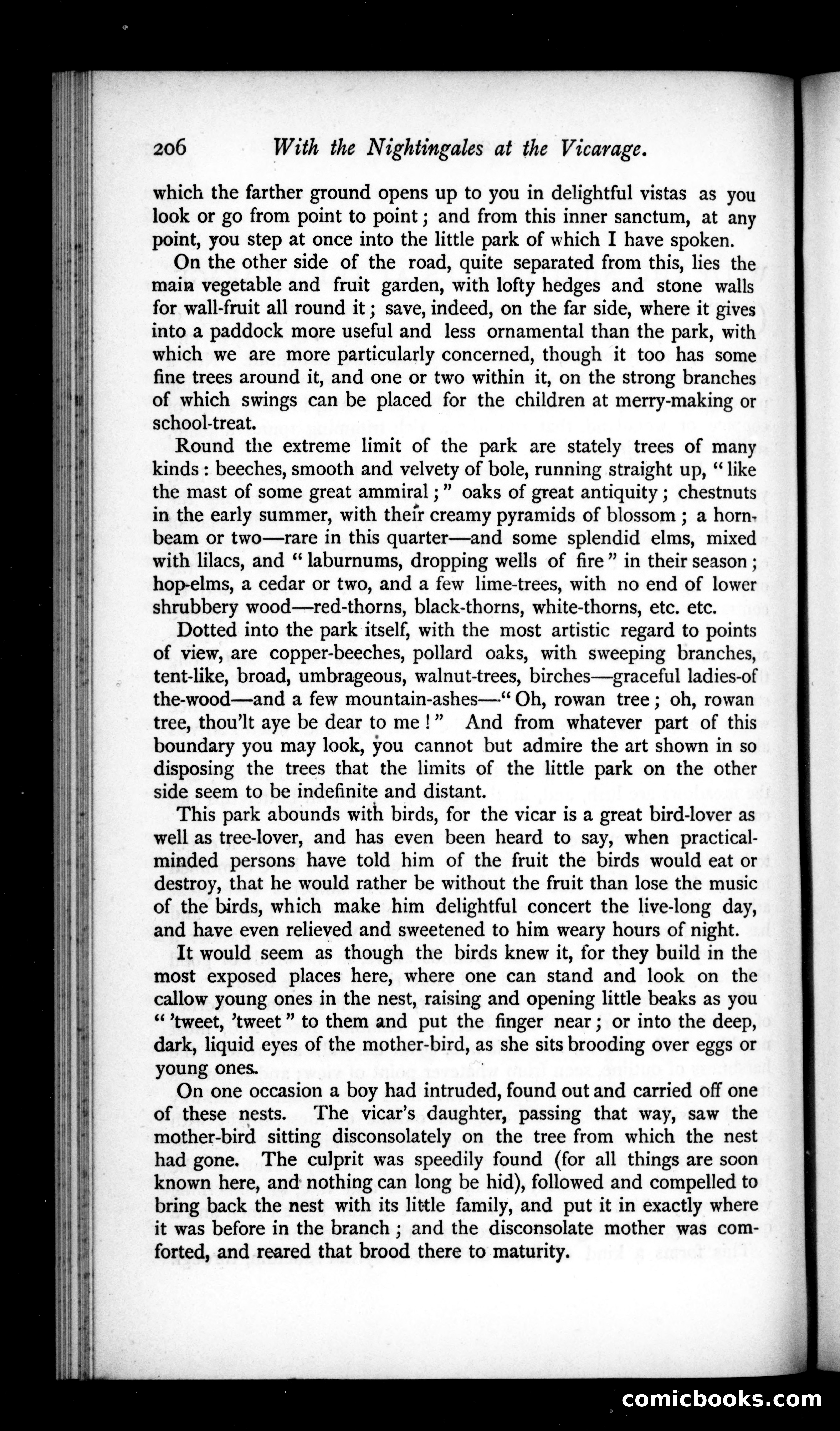 The Argosy, Vol. 50 — page 32 of 92