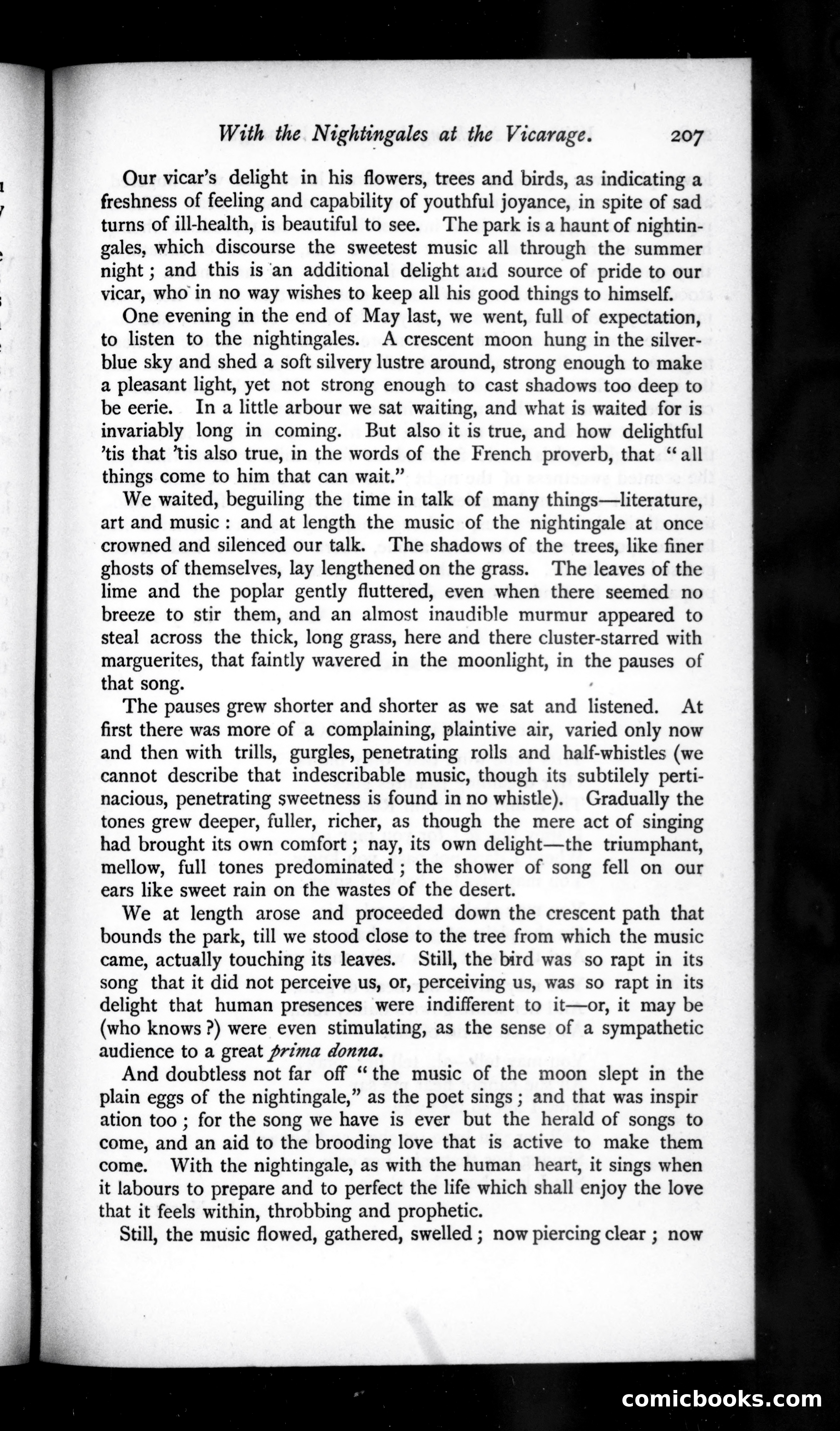 The Argosy, Vol. 50 — page 33 of 92