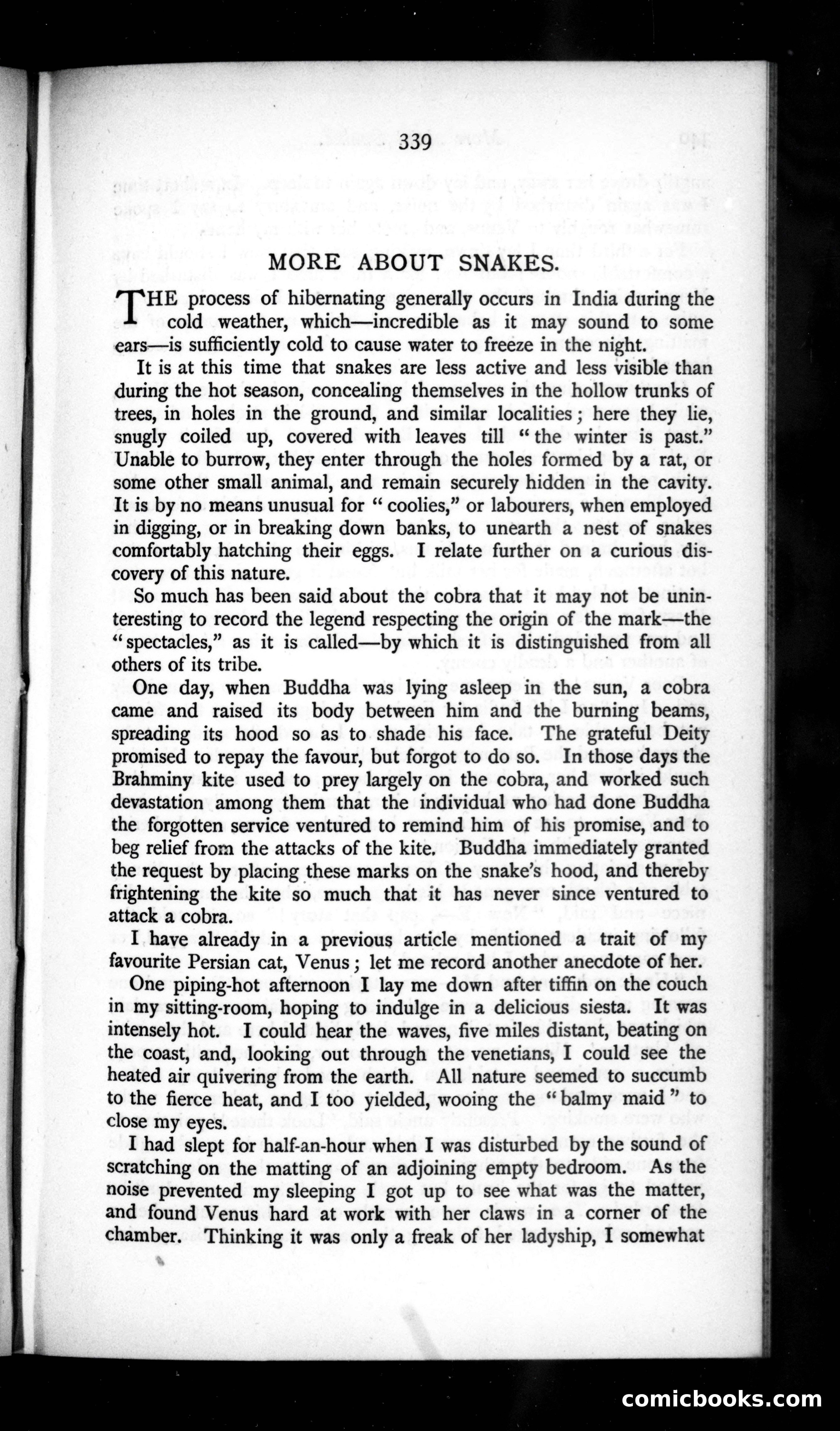 The Argosy, Vol. 50 — page 75 of 90