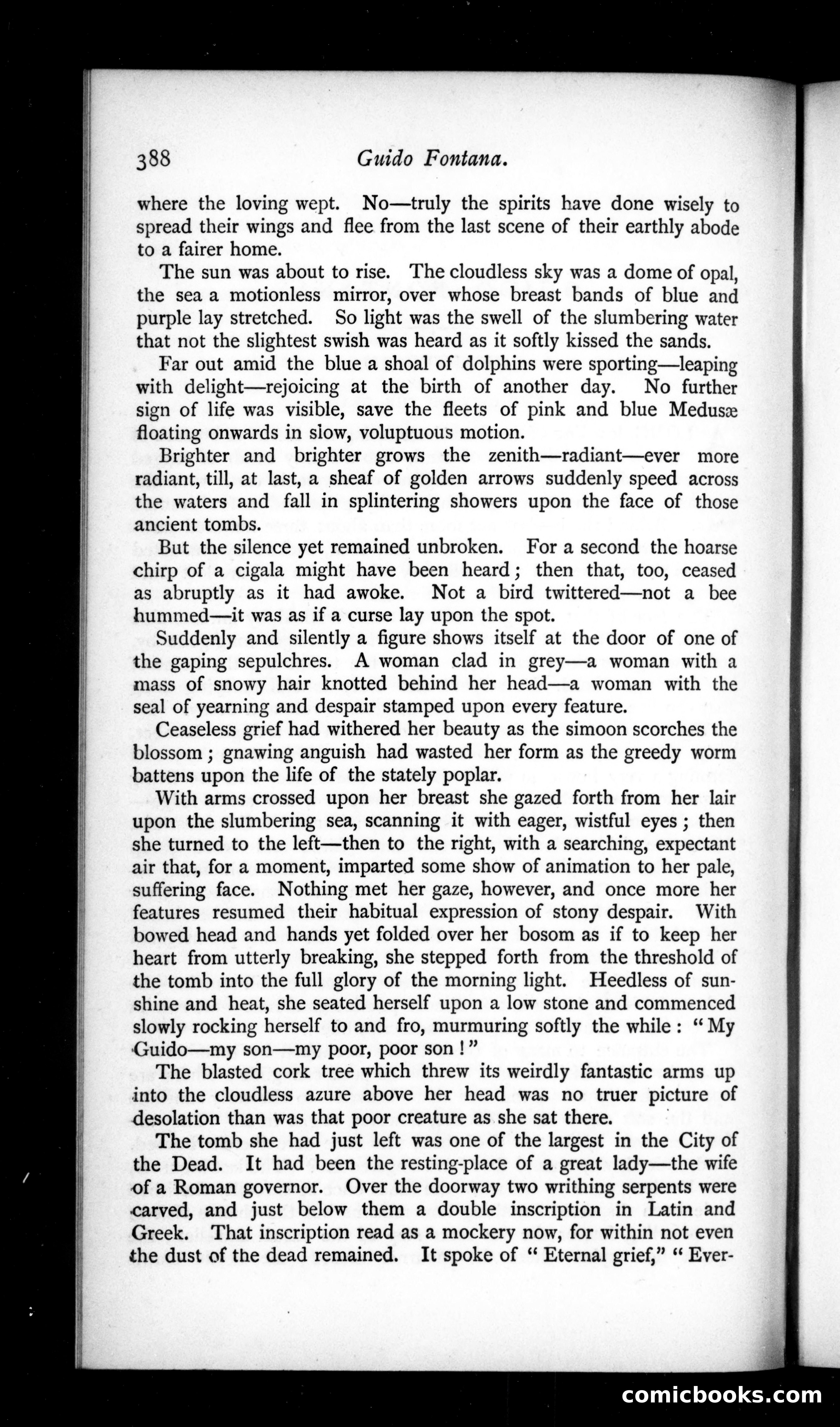 The Argosy, Vol. 50 — page 36 of 90