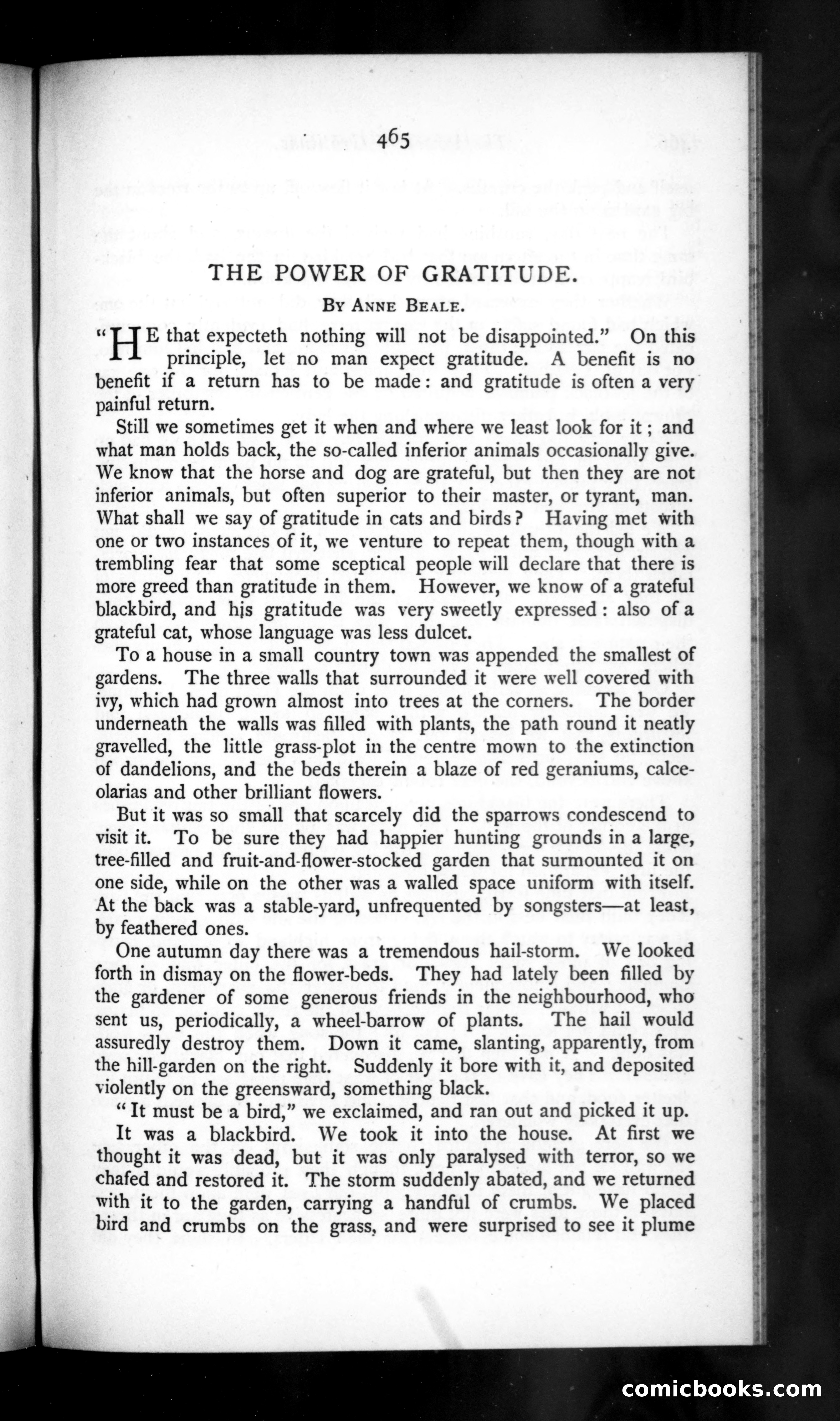 The Argosy, Vol. 50 — page 25 of 131