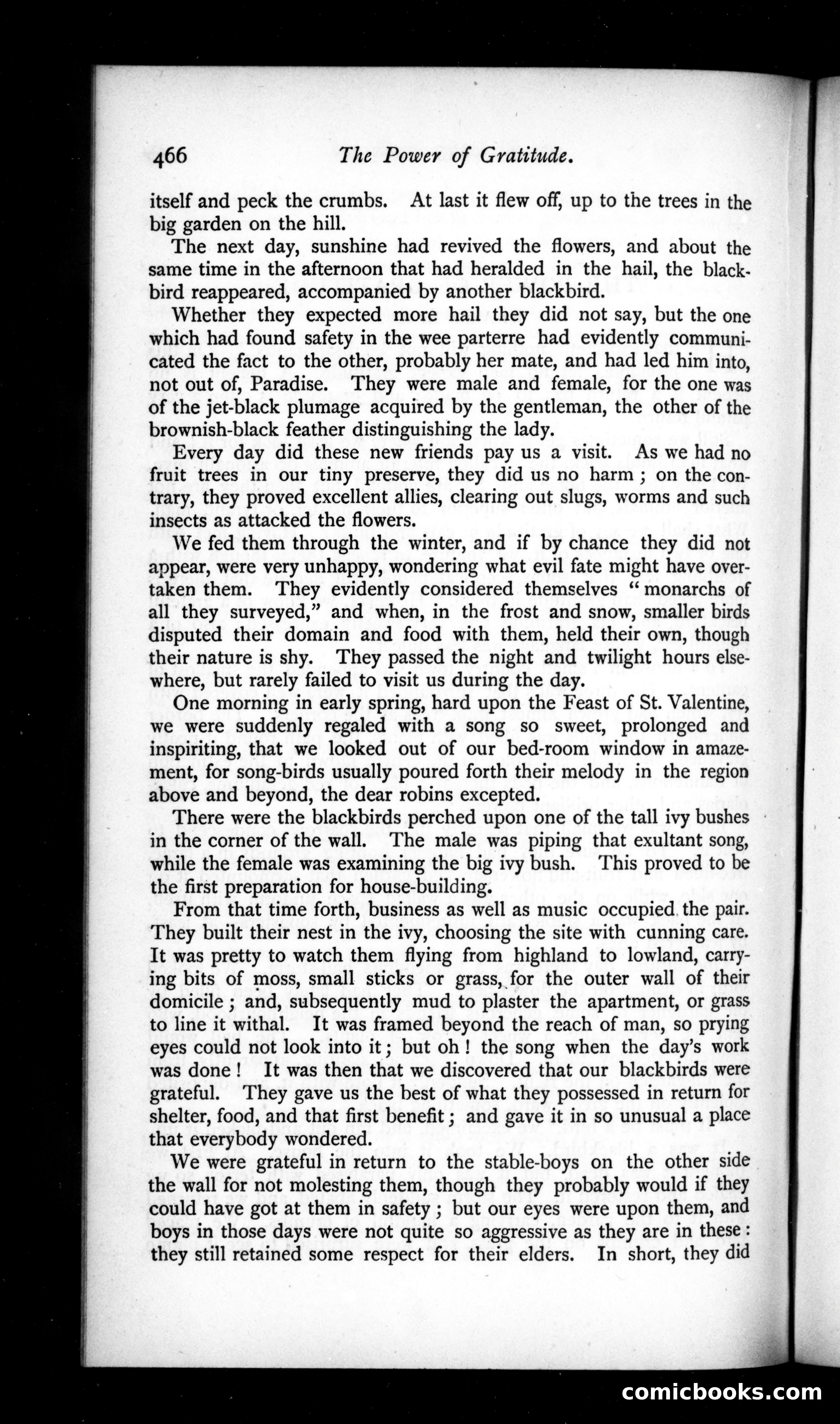 The Argosy, Vol. 50 — page 26 of 131
