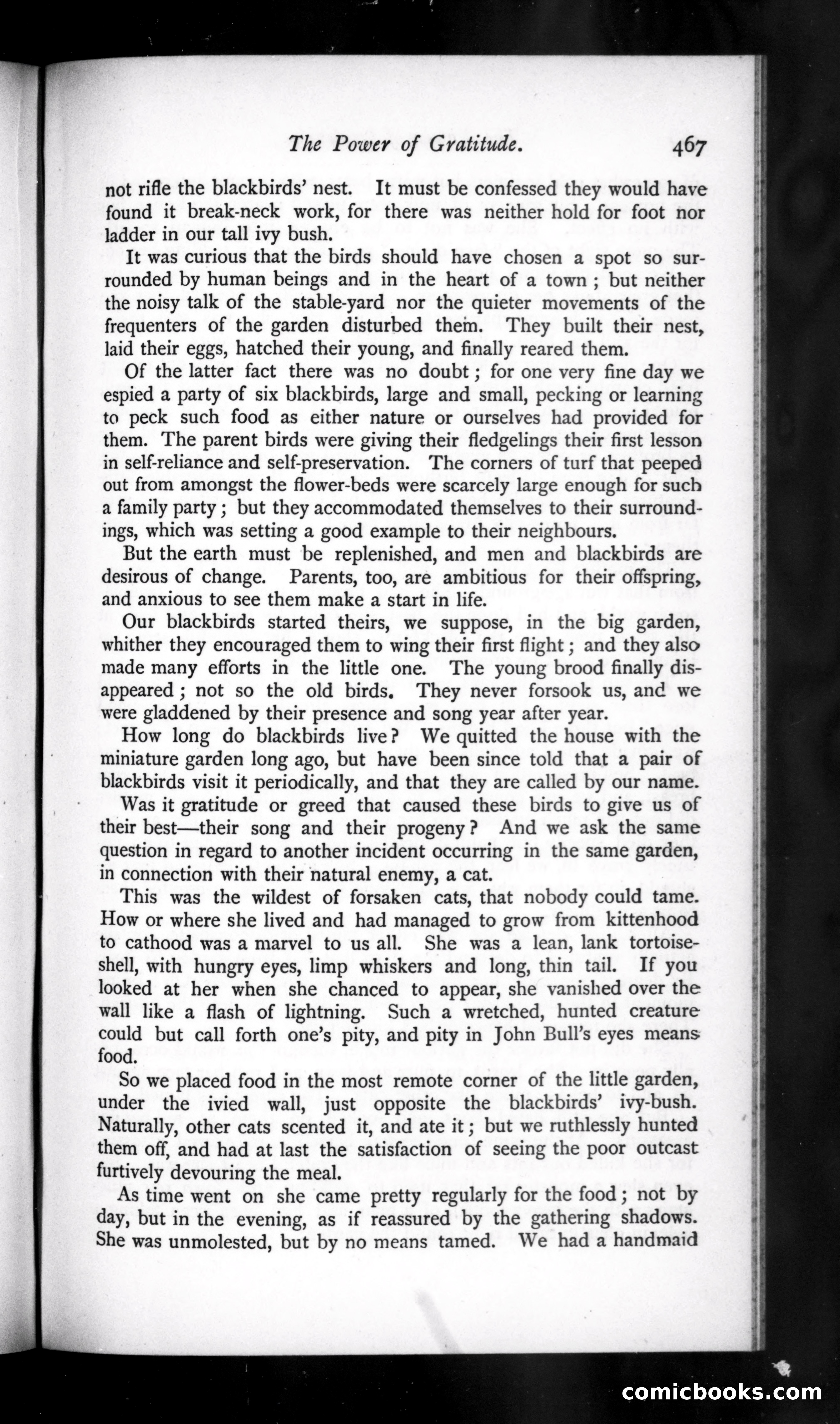 The Argosy, Vol. 50 — page 27 of 131