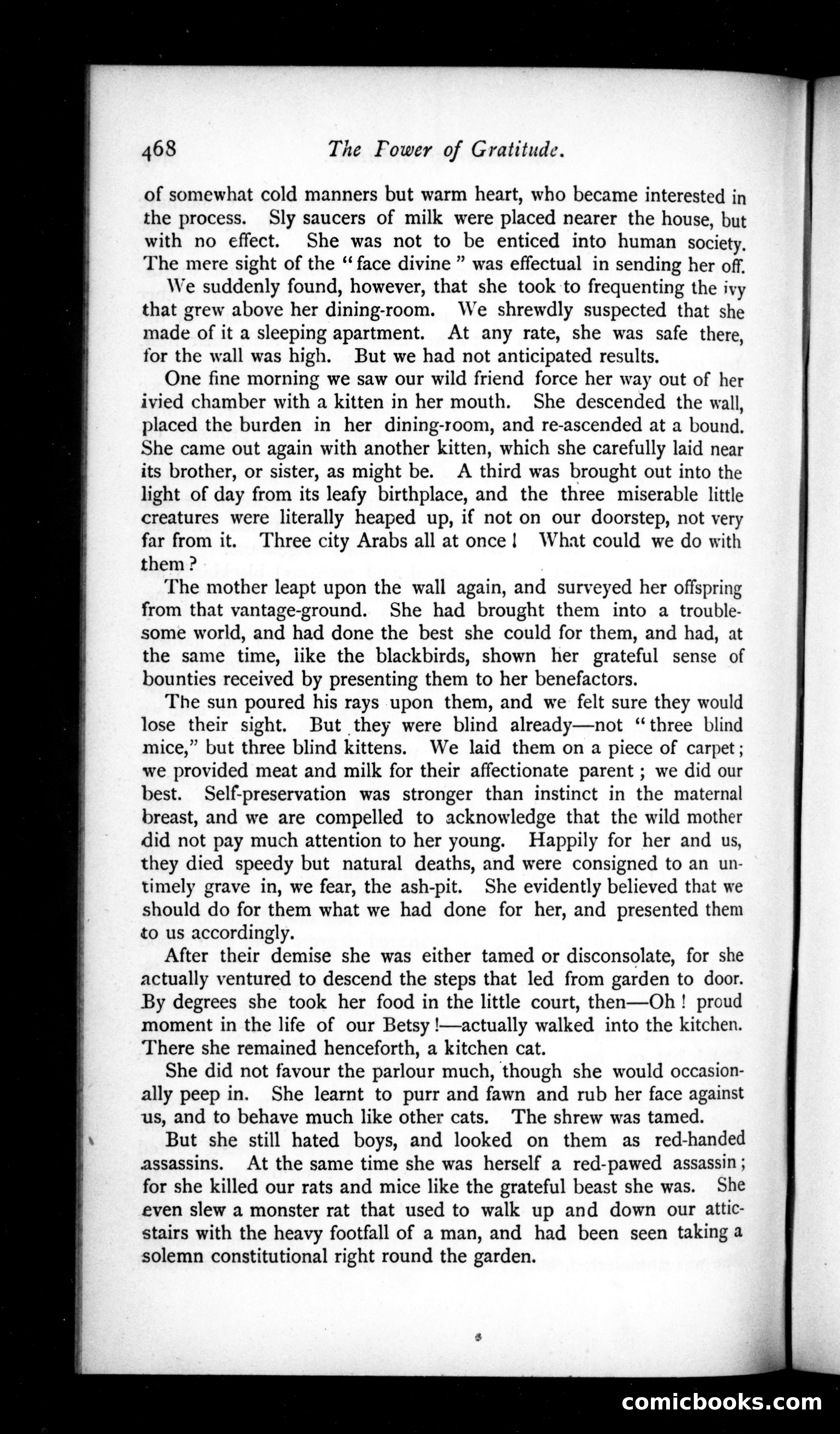 The Argosy, Vol. 50 — page 28 of 131