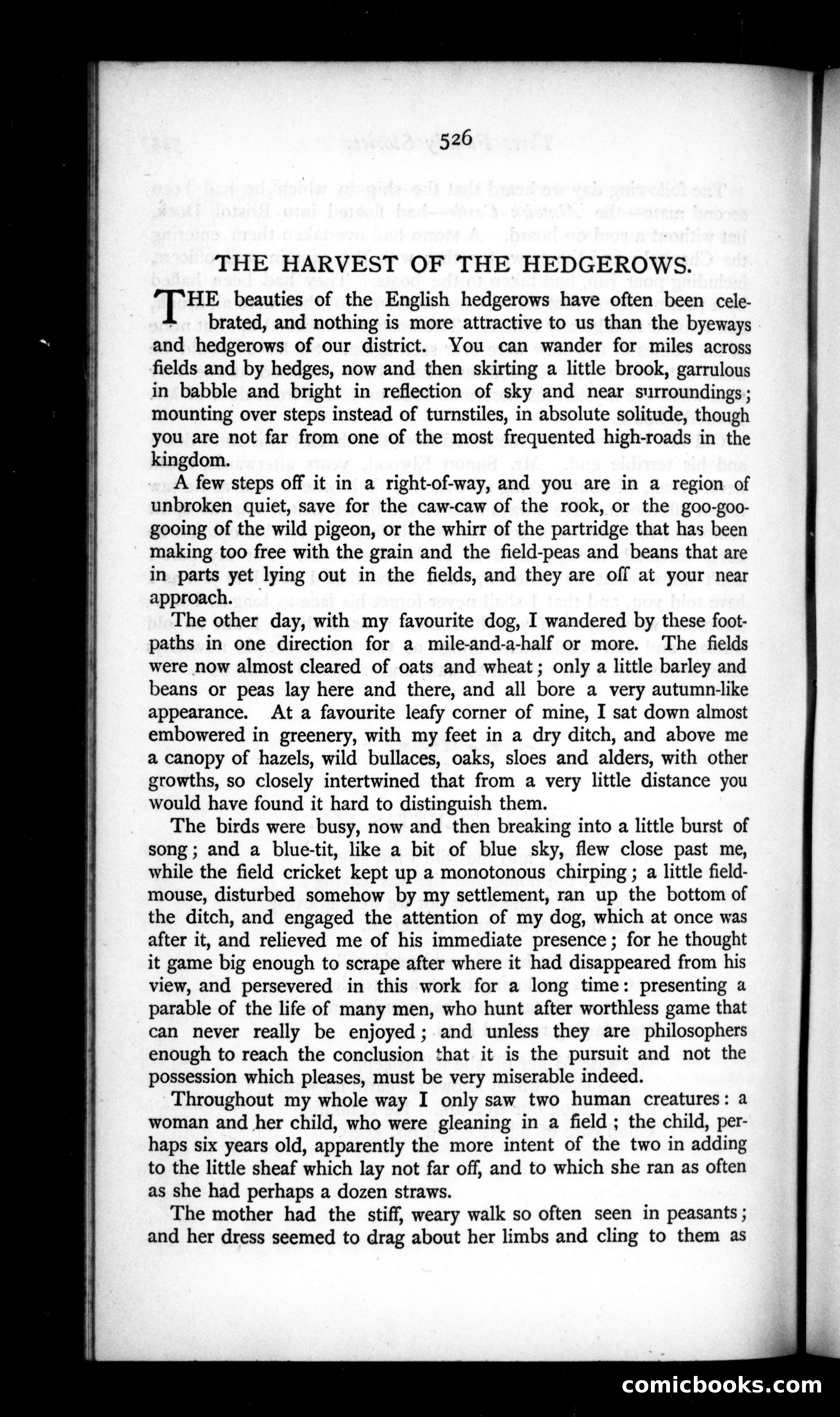 The Argosy, Vol. 50 — page 86 of 131