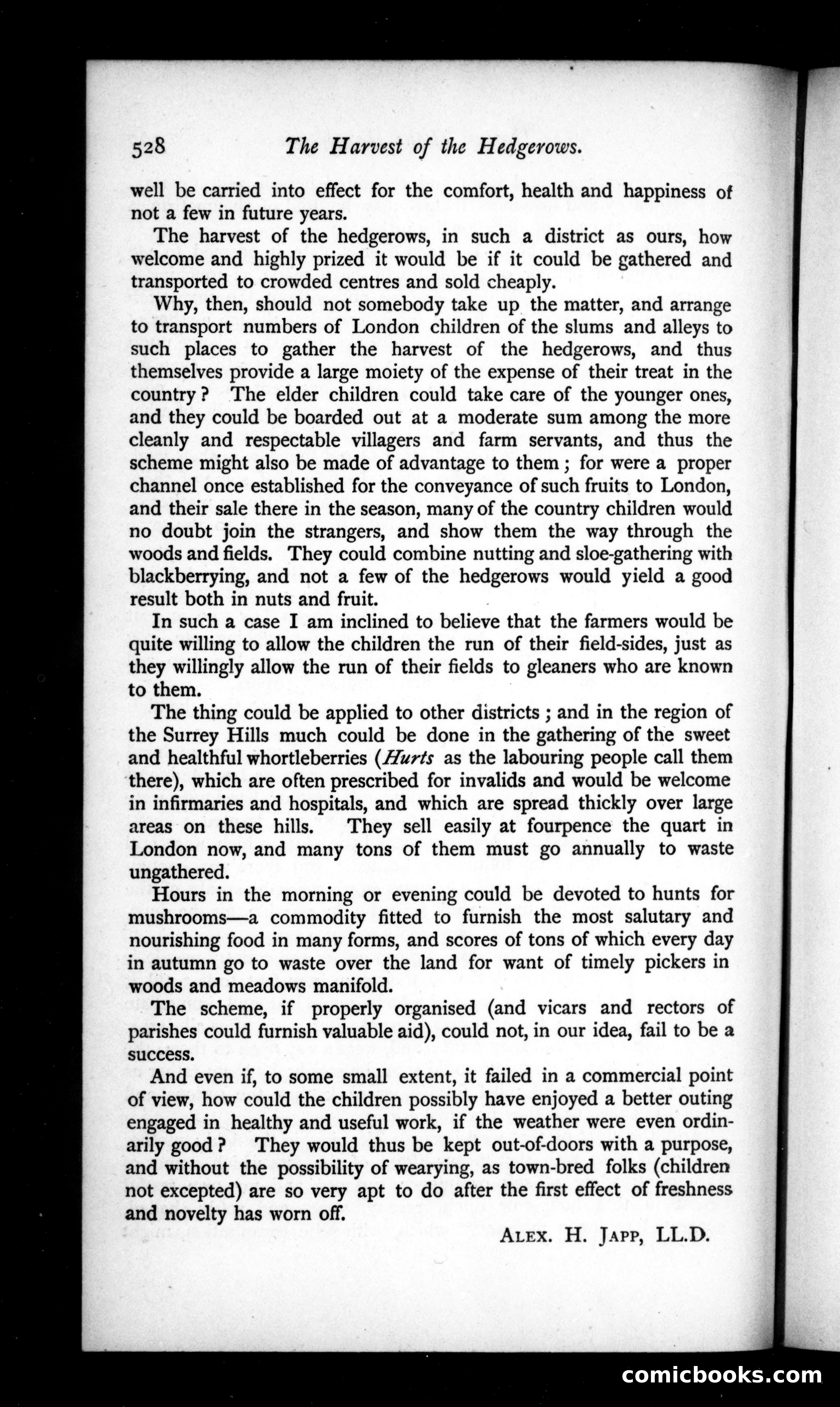 The Argosy, Vol. 50 — page 88 of 131