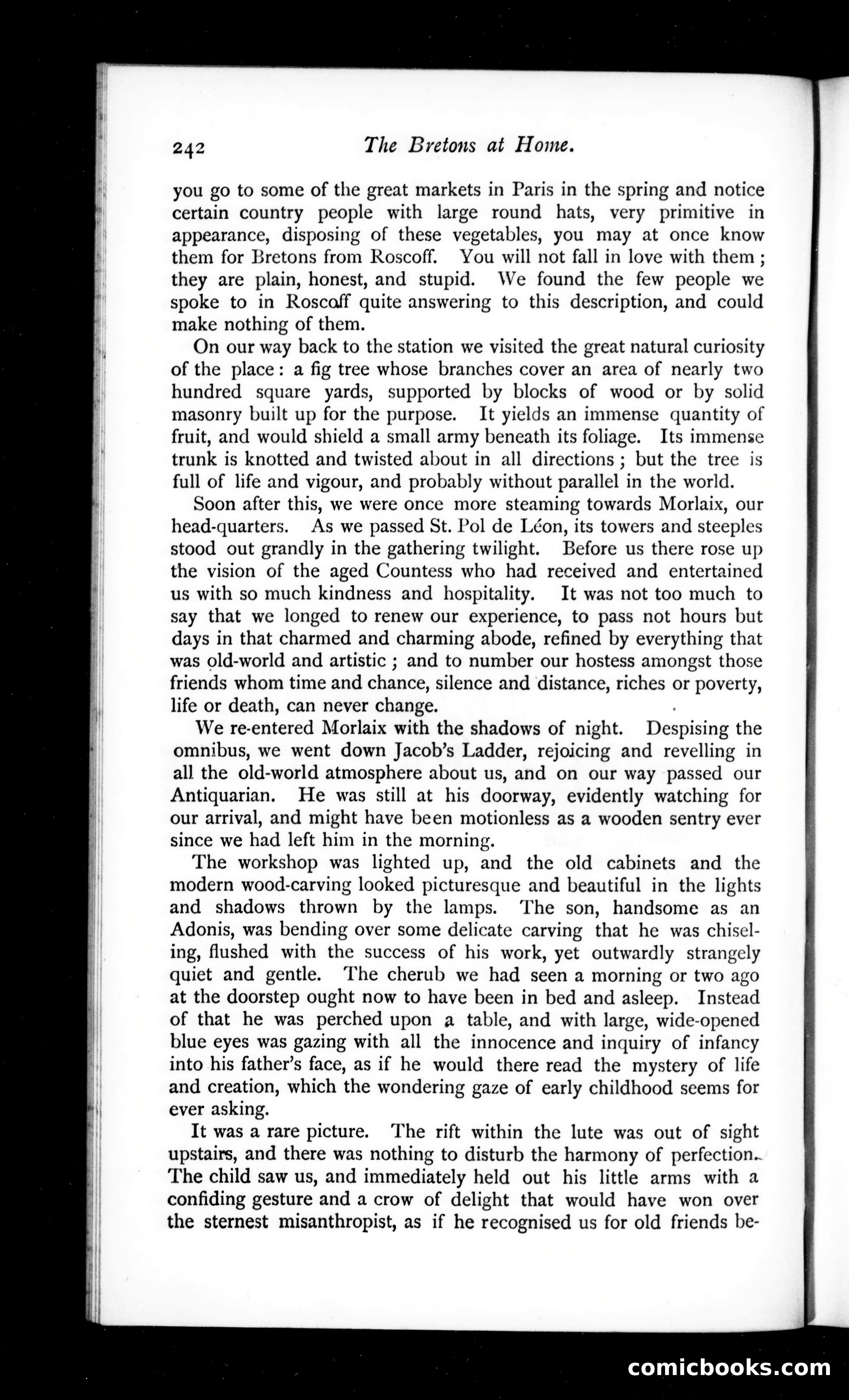 The Argosy, Vol. 51 — page 66 of 90