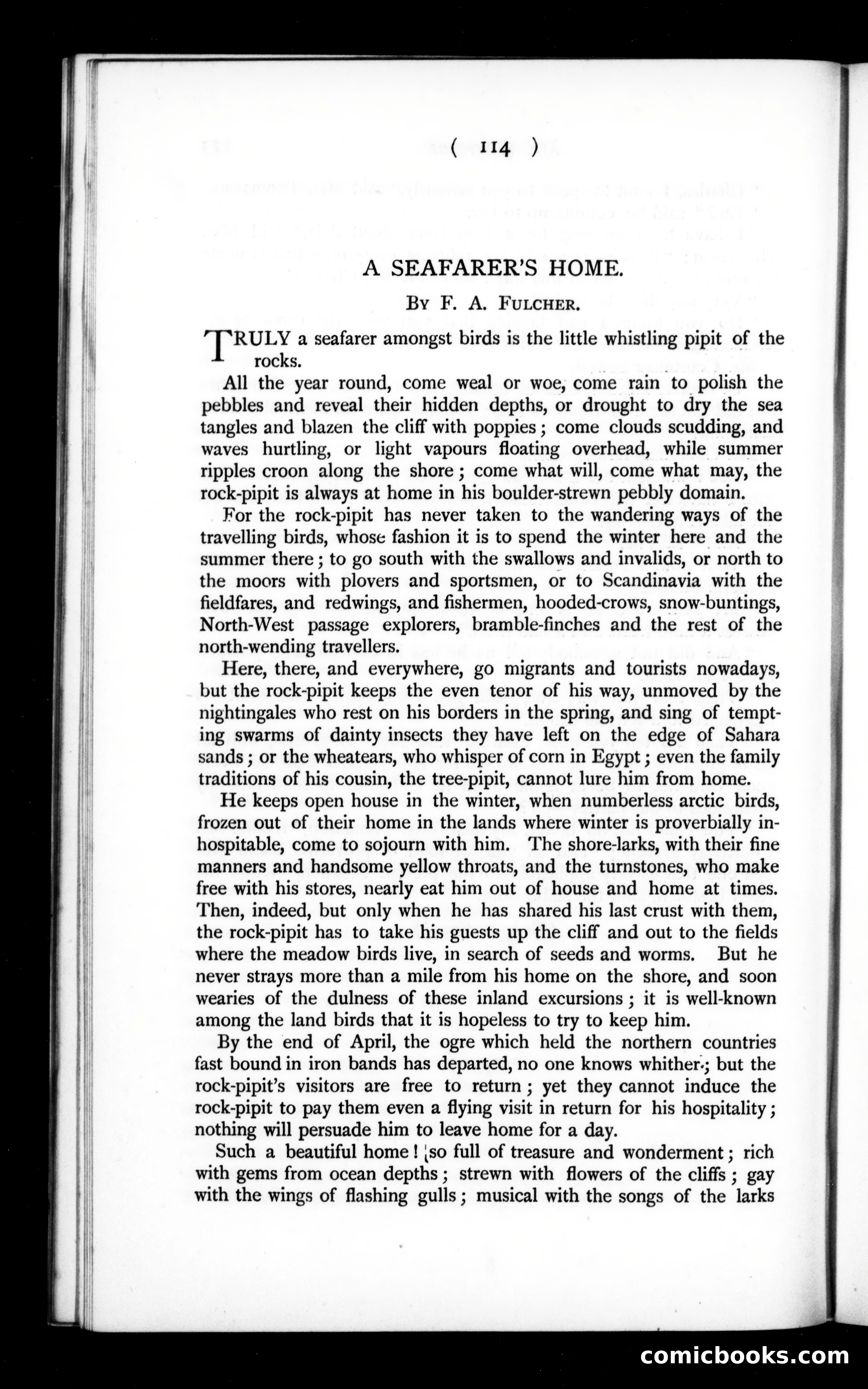 The Argosy, Vol. 56 — page 26 of 90