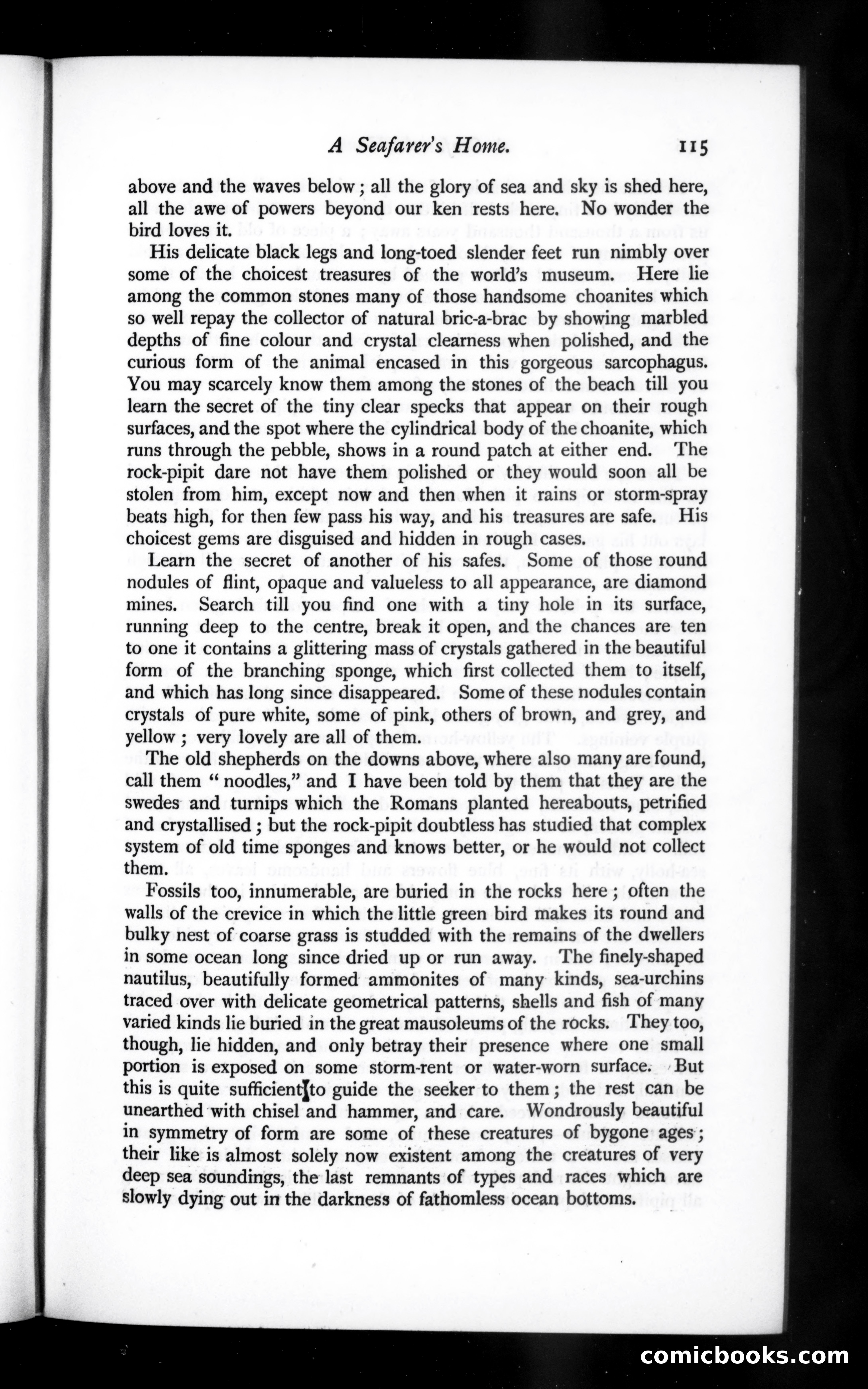 The Argosy, Vol. 56 — page 27 of 90