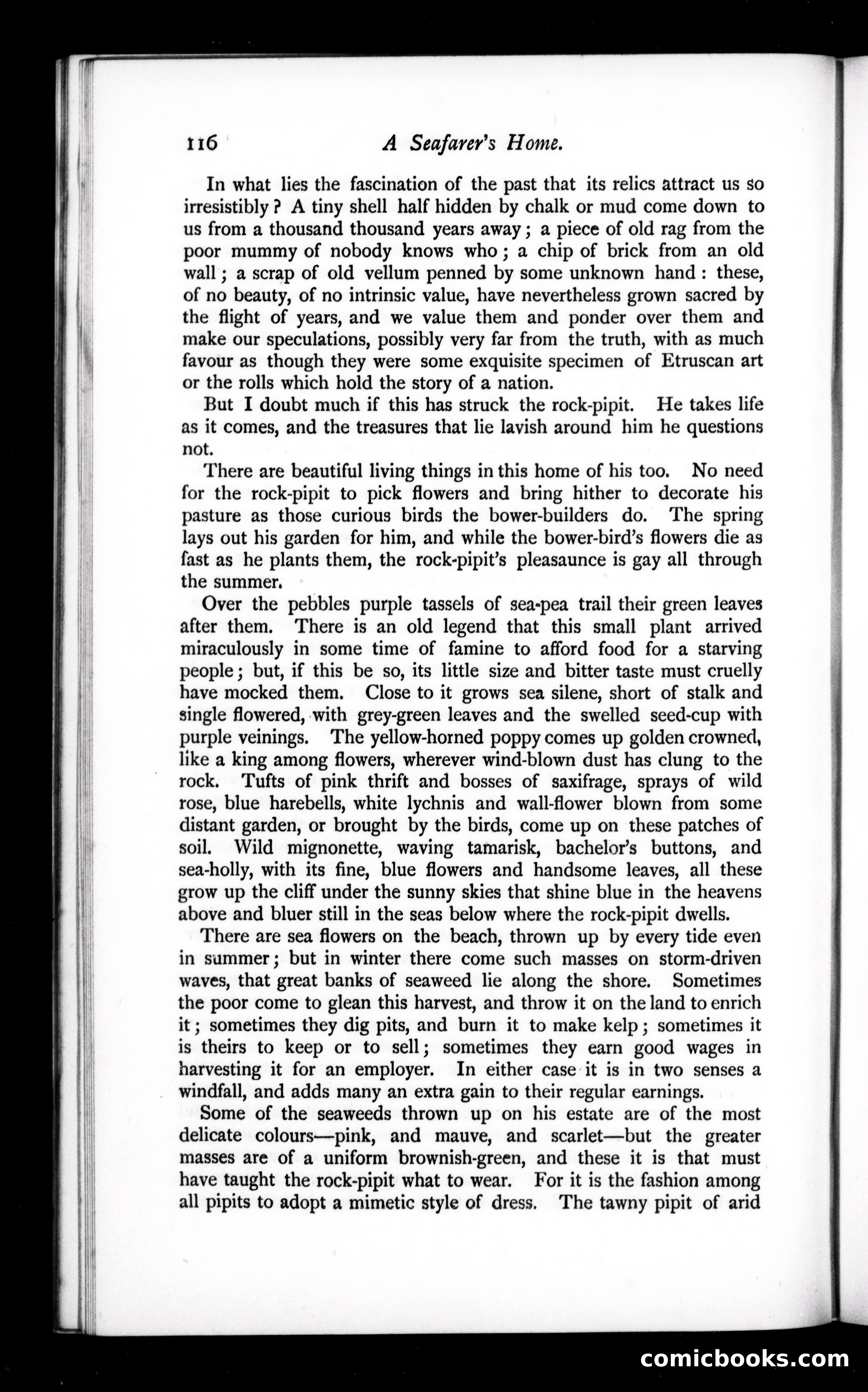 The Argosy, Vol. 56 — page 28 of 90