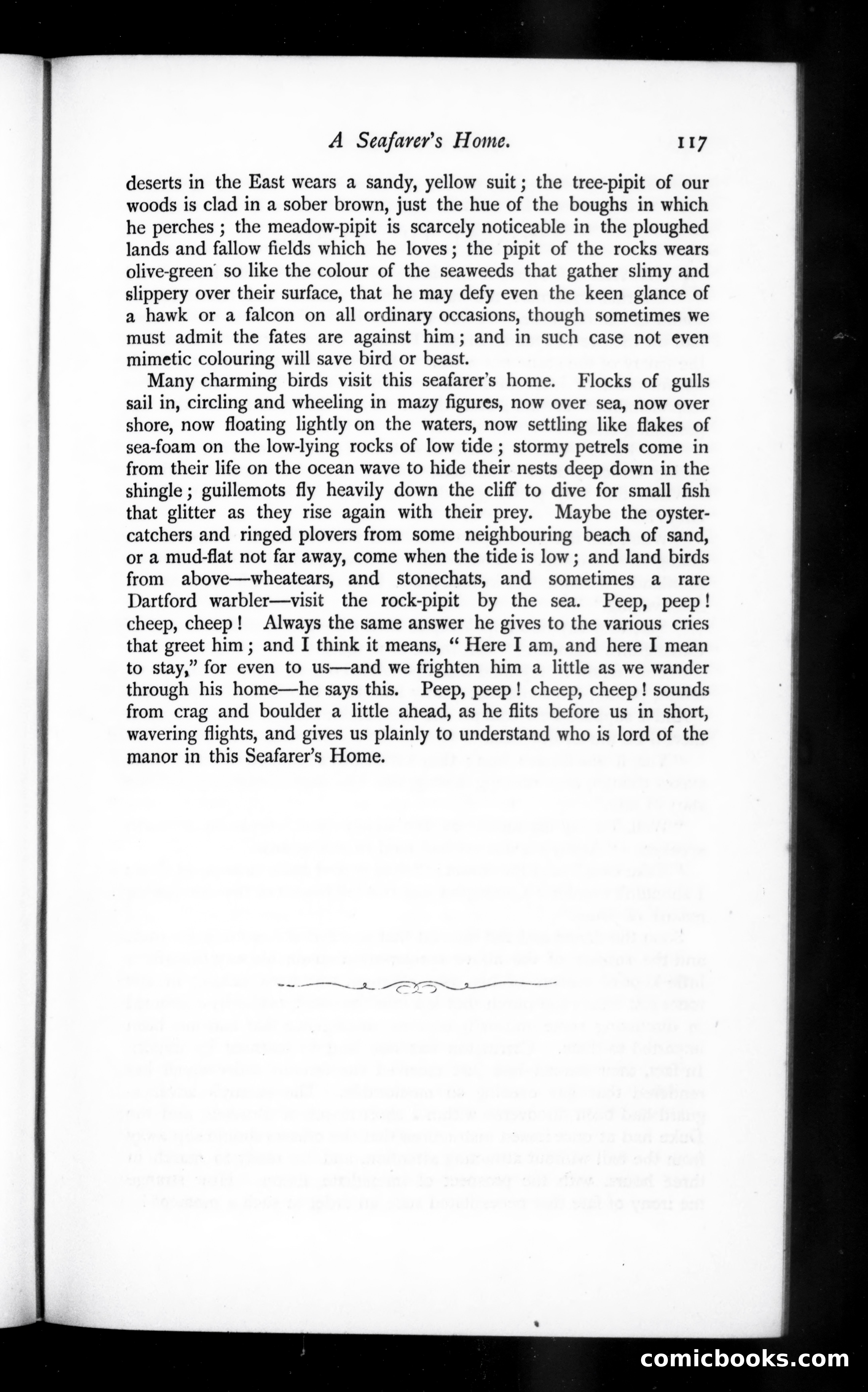 The Argosy, Vol. 56 — page 29 of 90