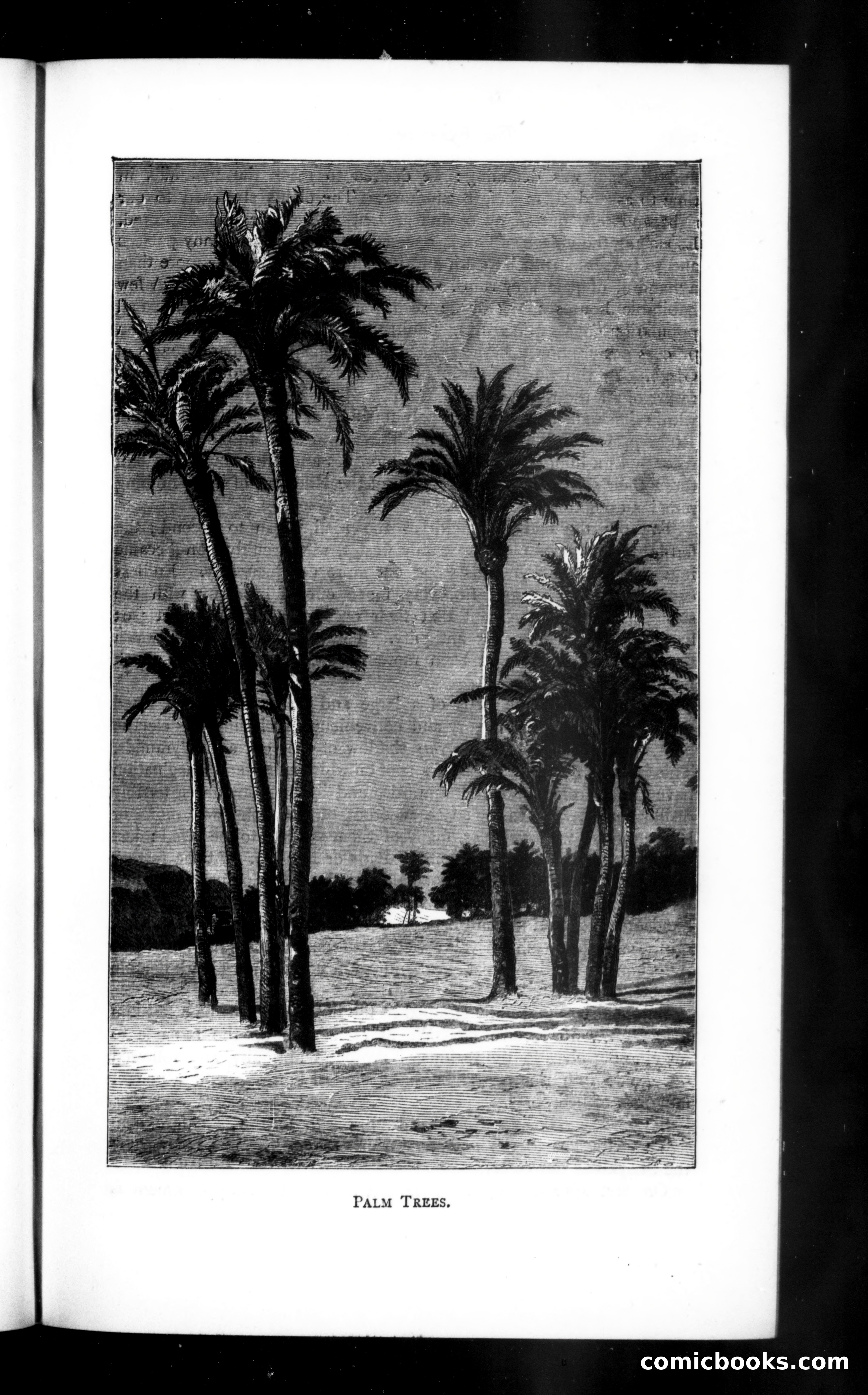 The Argosy, Vol. 56 — page 45 of 90
