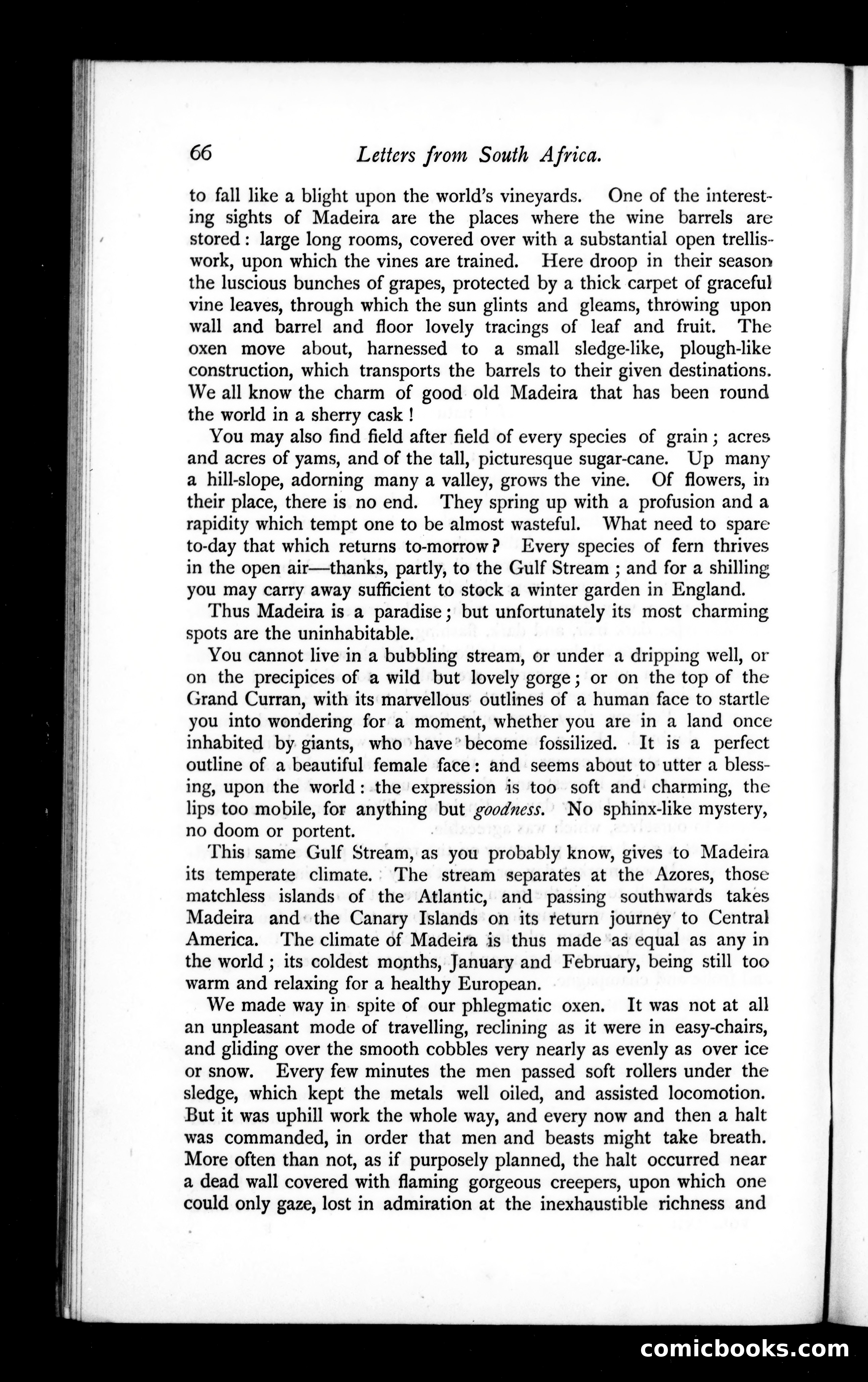 The Argosy, Vol. 57 — page 66 of 90