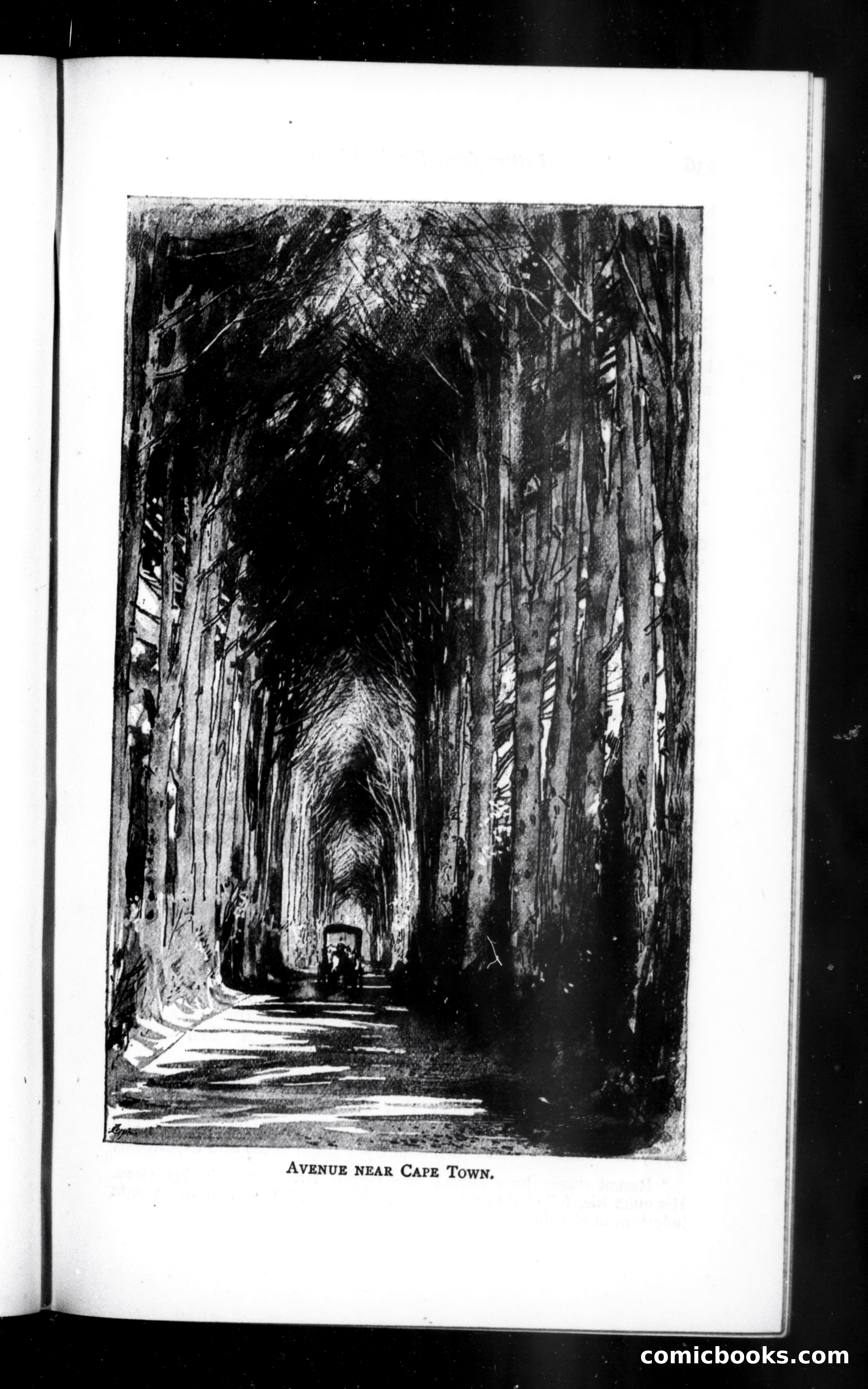 The Argosy, Vol. 57 — page 59 of 90