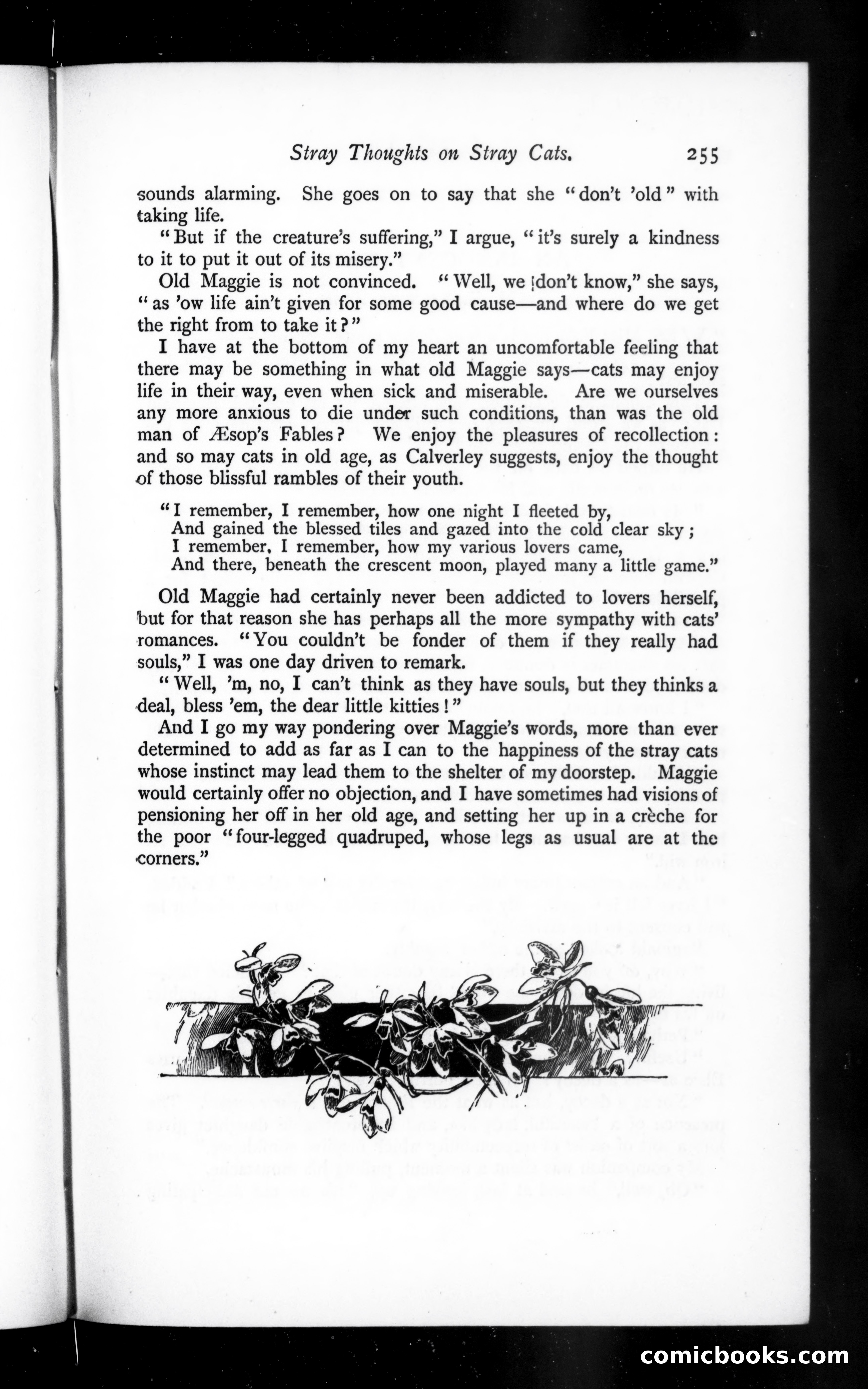 The Argosy, Vol. 57 — page 79 of 90
