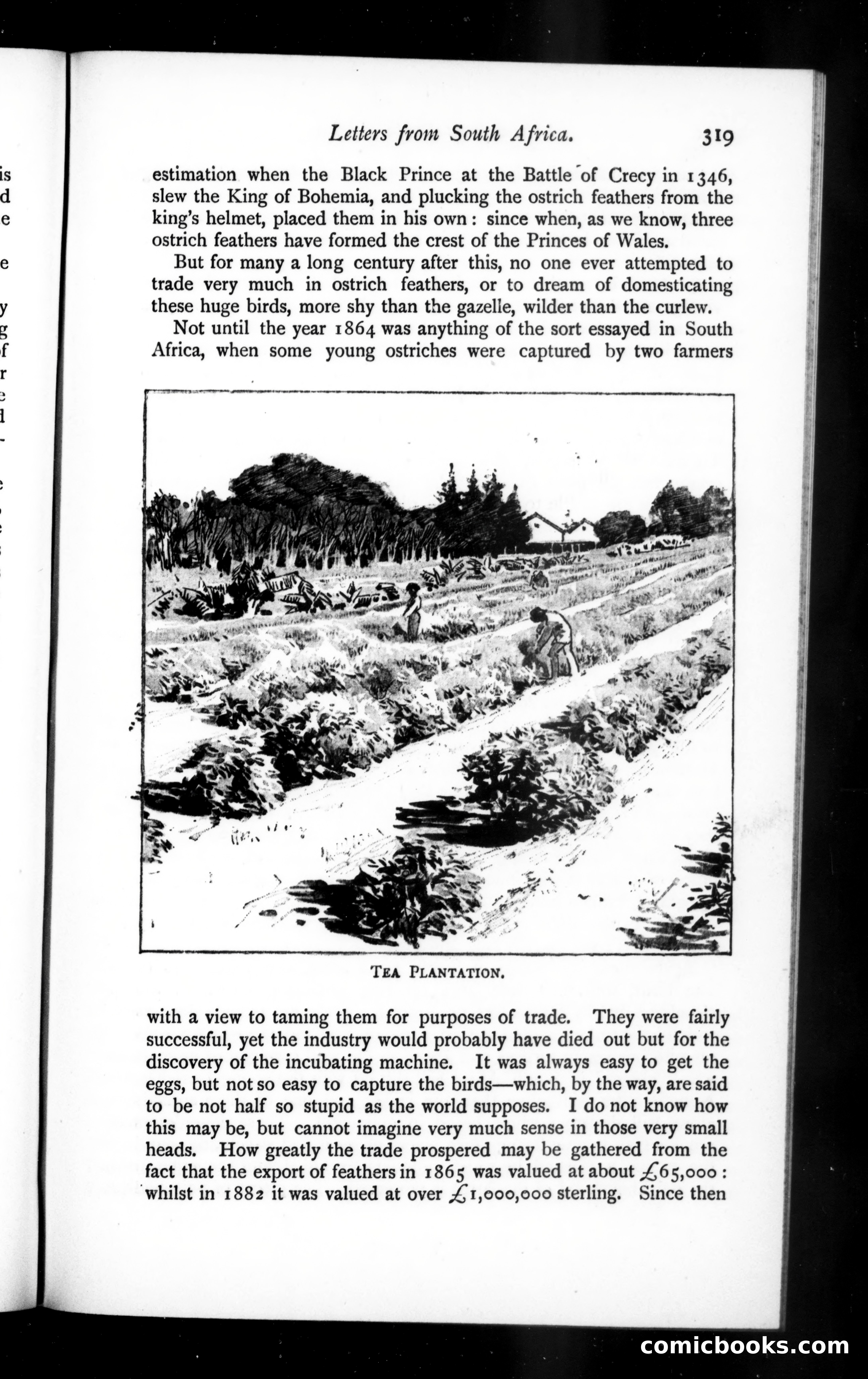 The Argosy, Vol. 57 — page 55 of 90