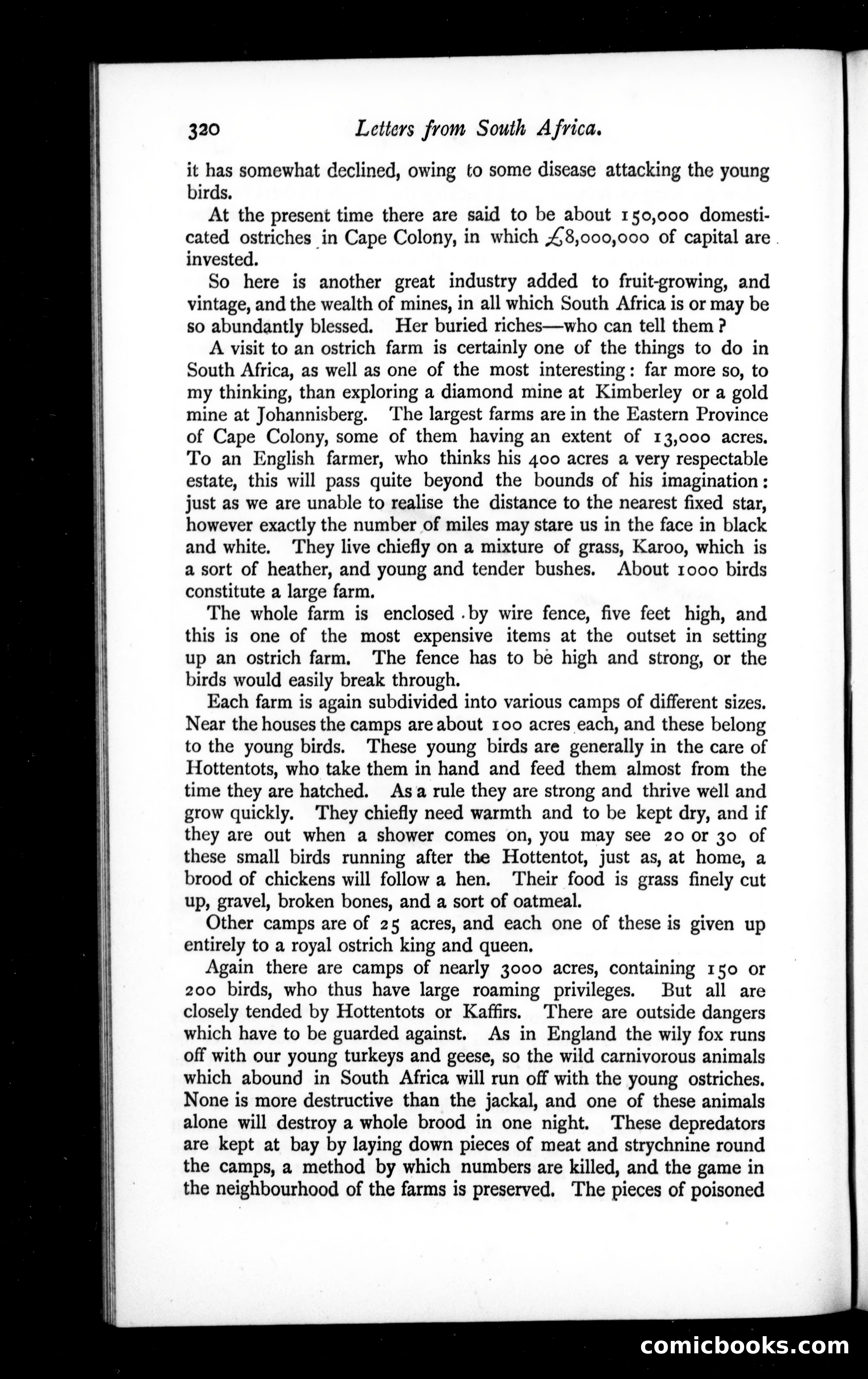The Argosy, Vol. 57 — page 56 of 90