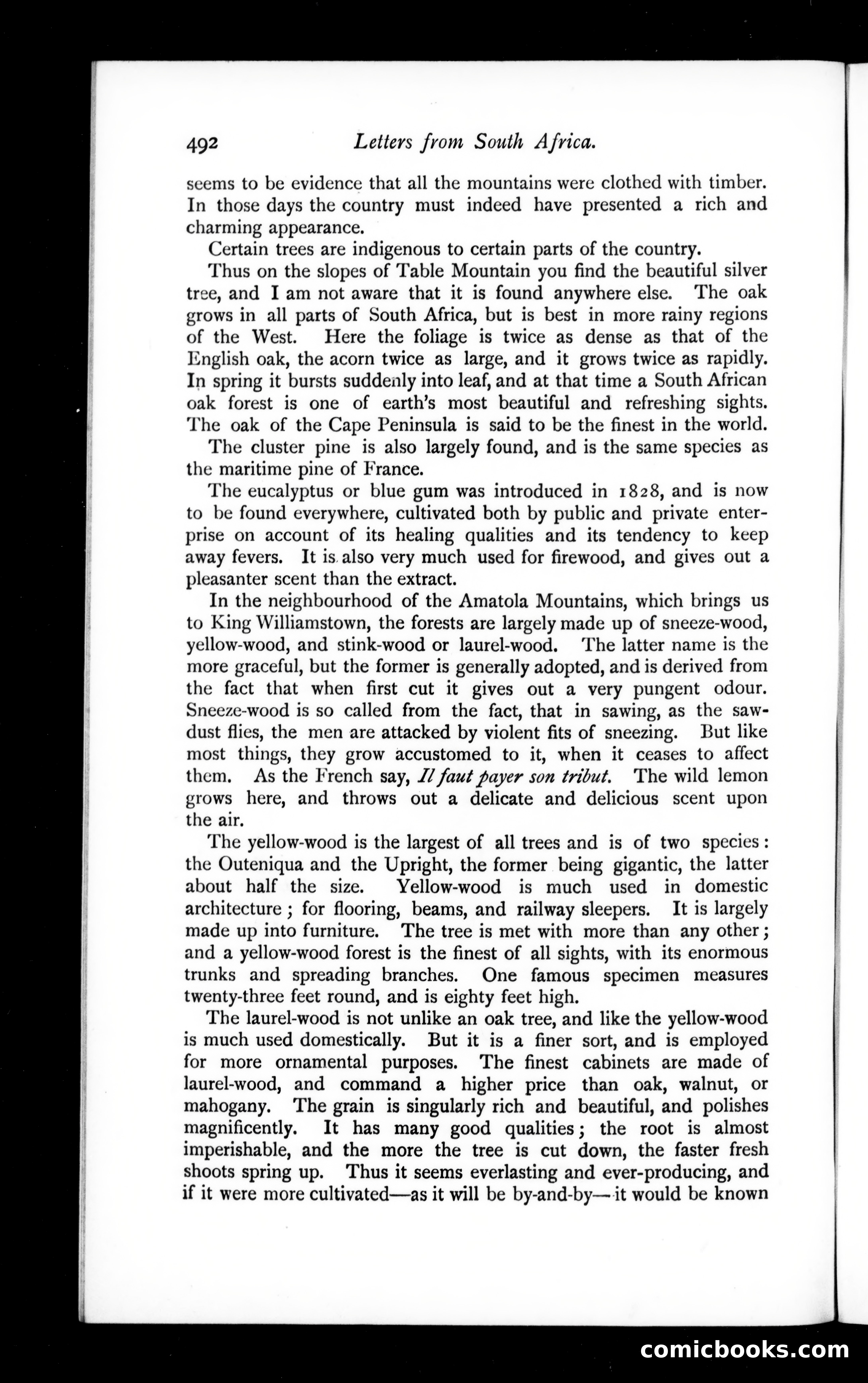The Argosy, Vol. 57 — page 52 of 131