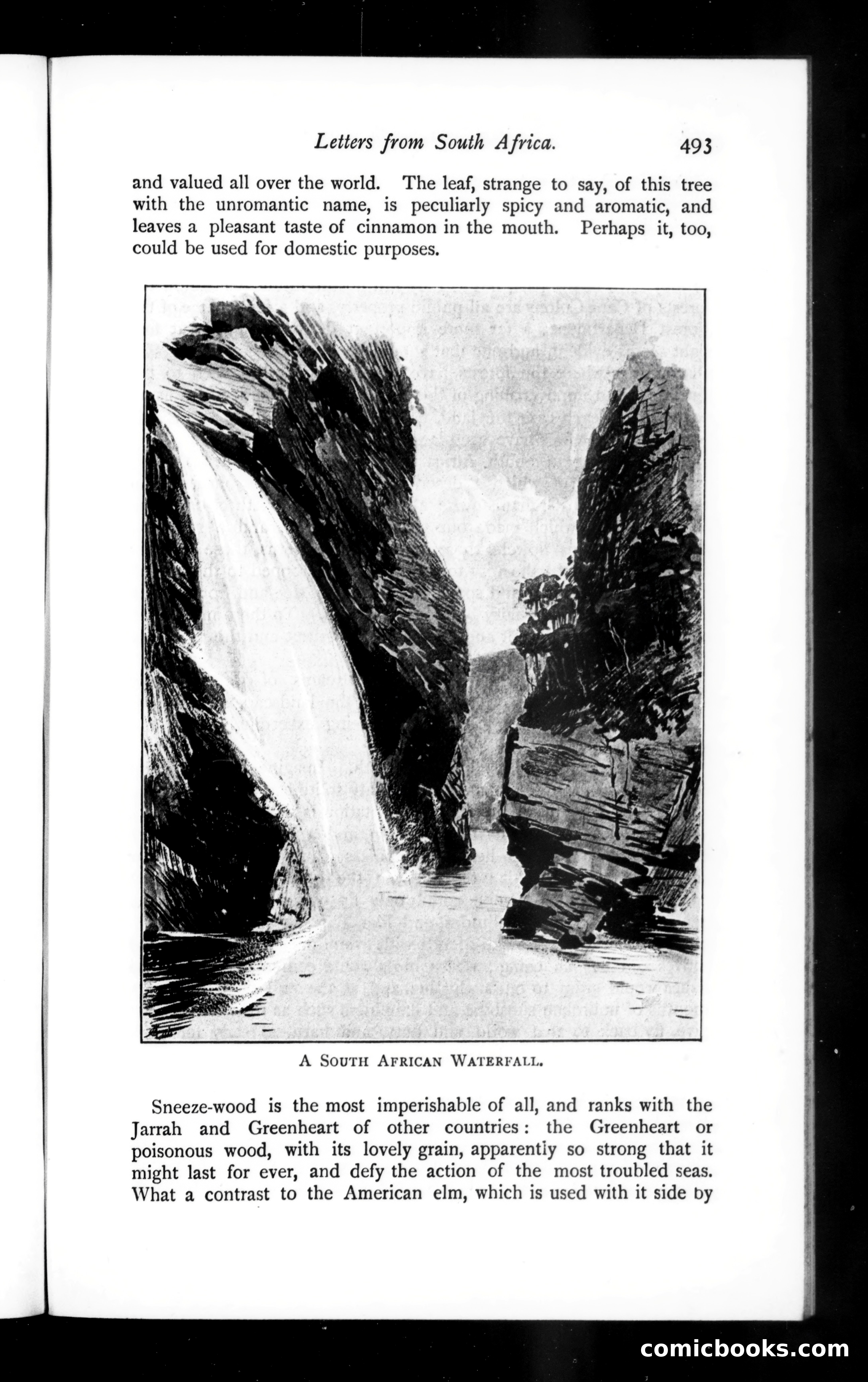 The Argosy, Vol. 57 — page 53 of 131