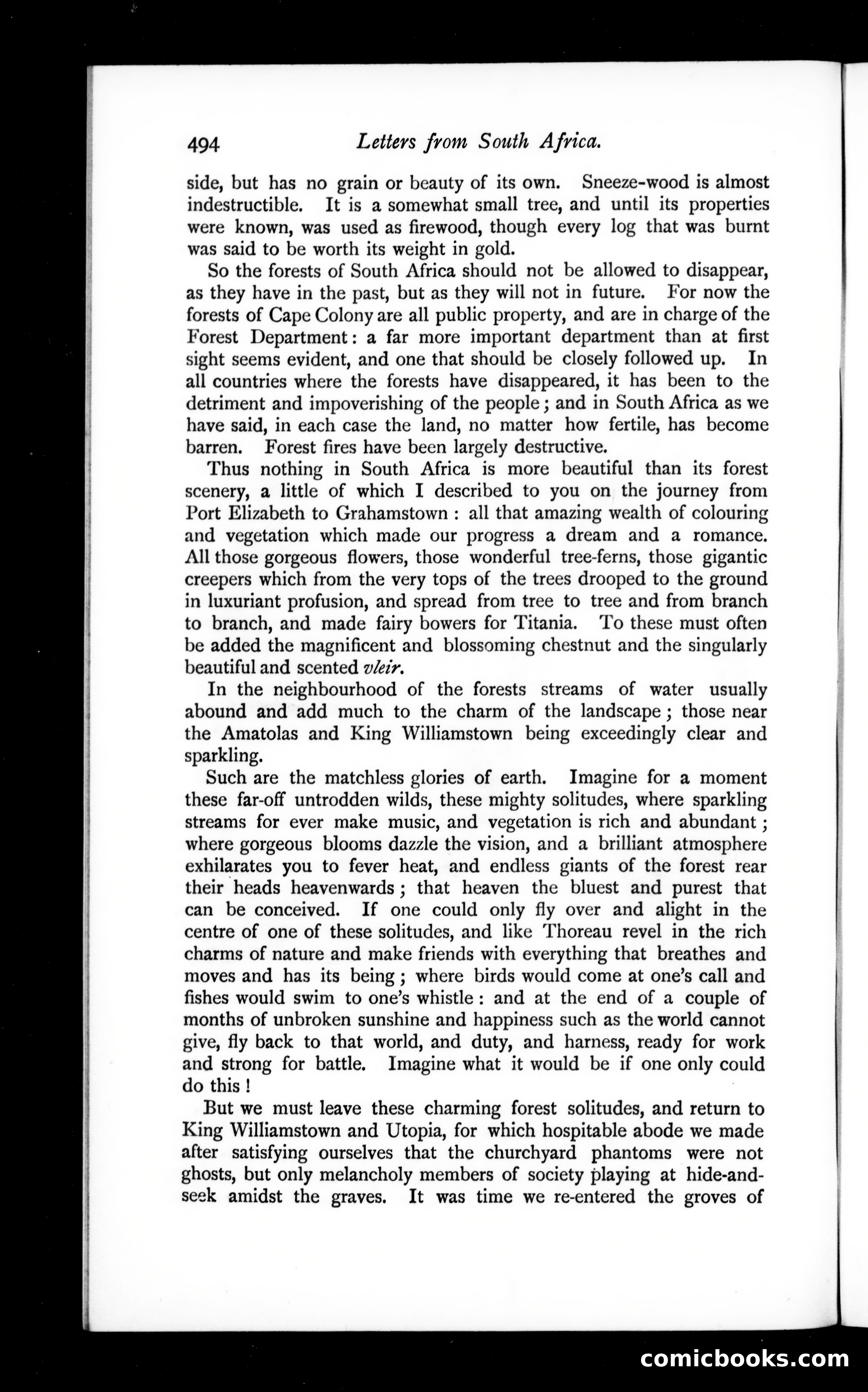The Argosy, Vol. 57 — page 54 of 131