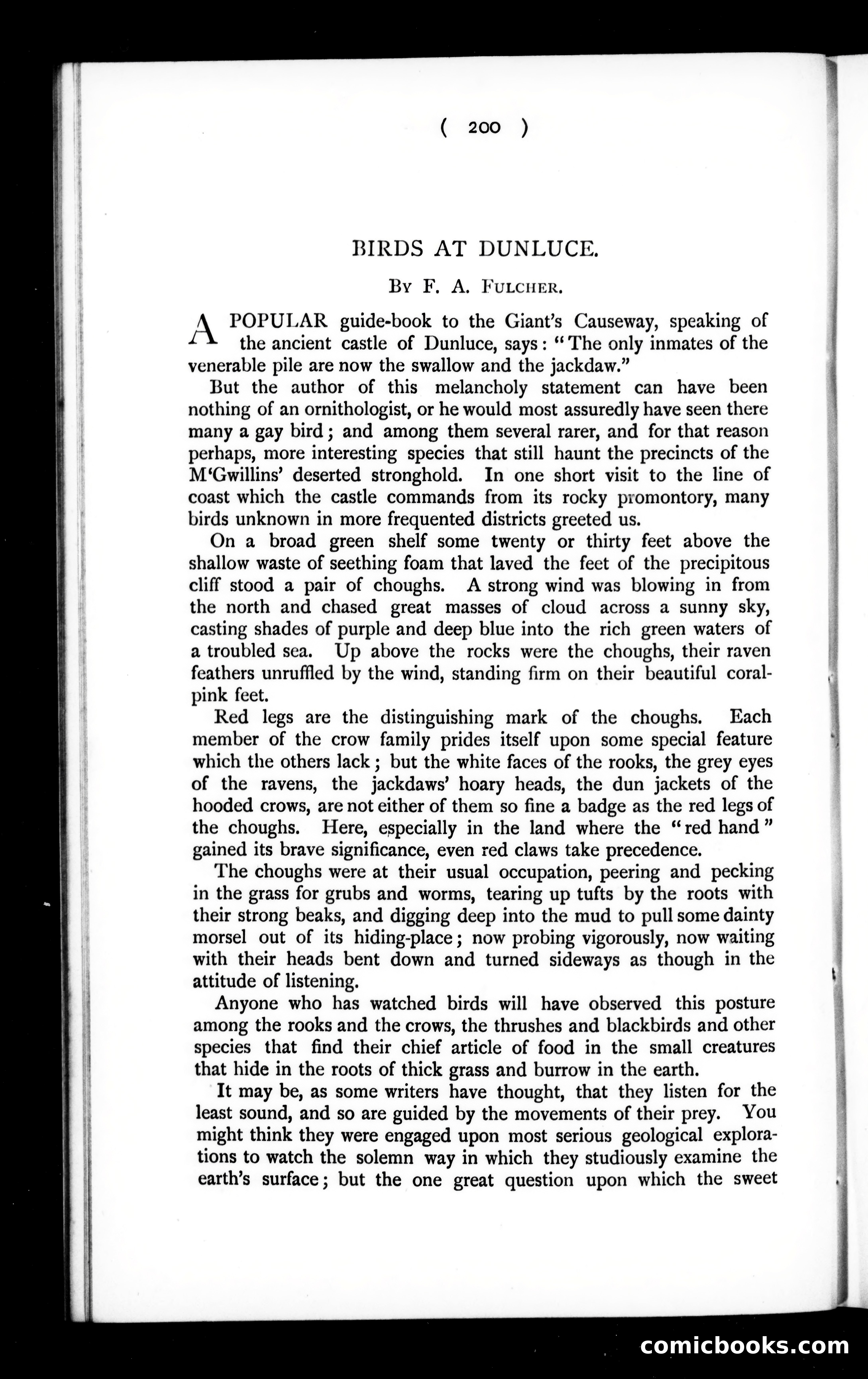 The Argosy, Vol. 58 — page 24 of 90