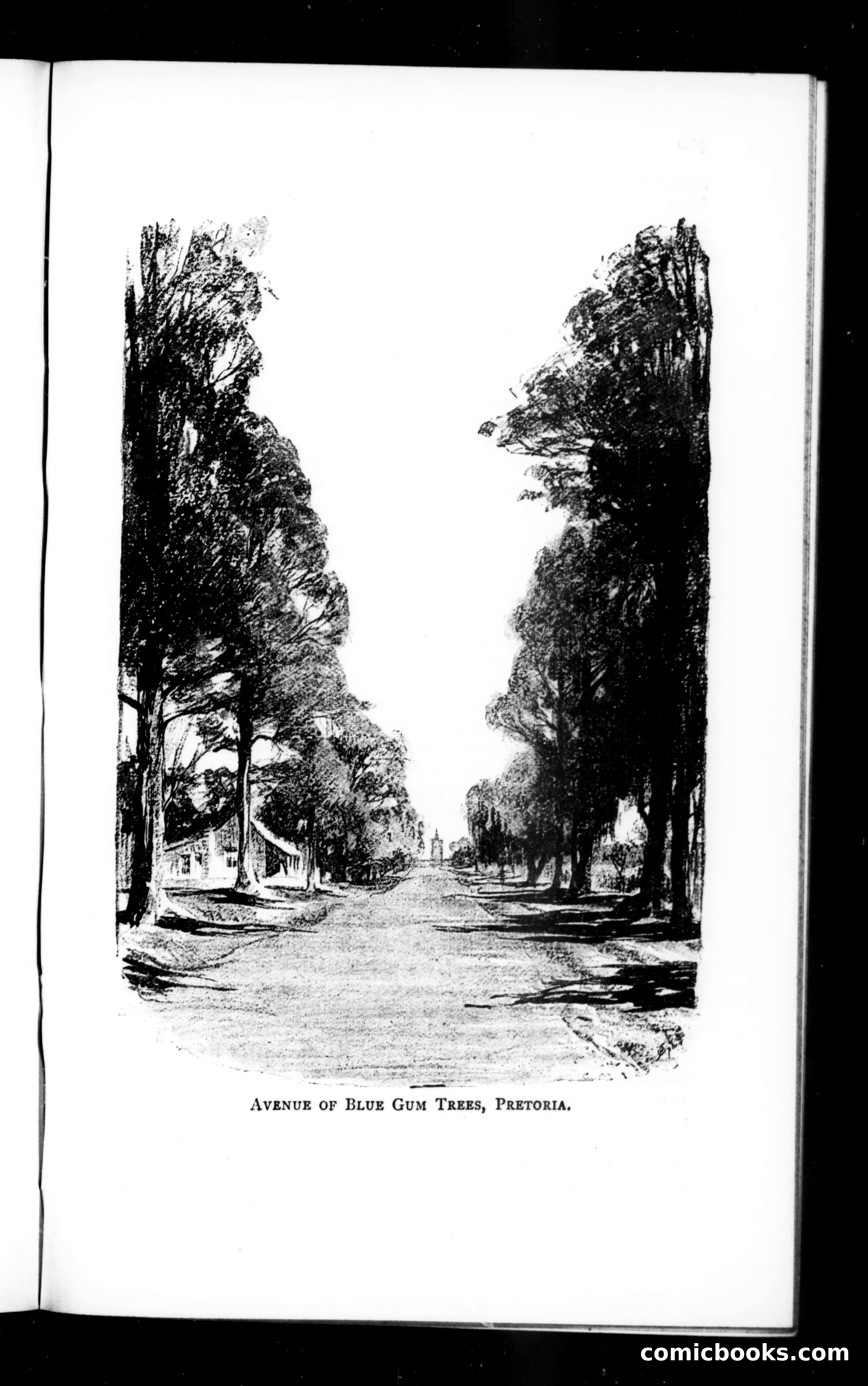 The Argosy, Vol. 58 — page 53 of 90