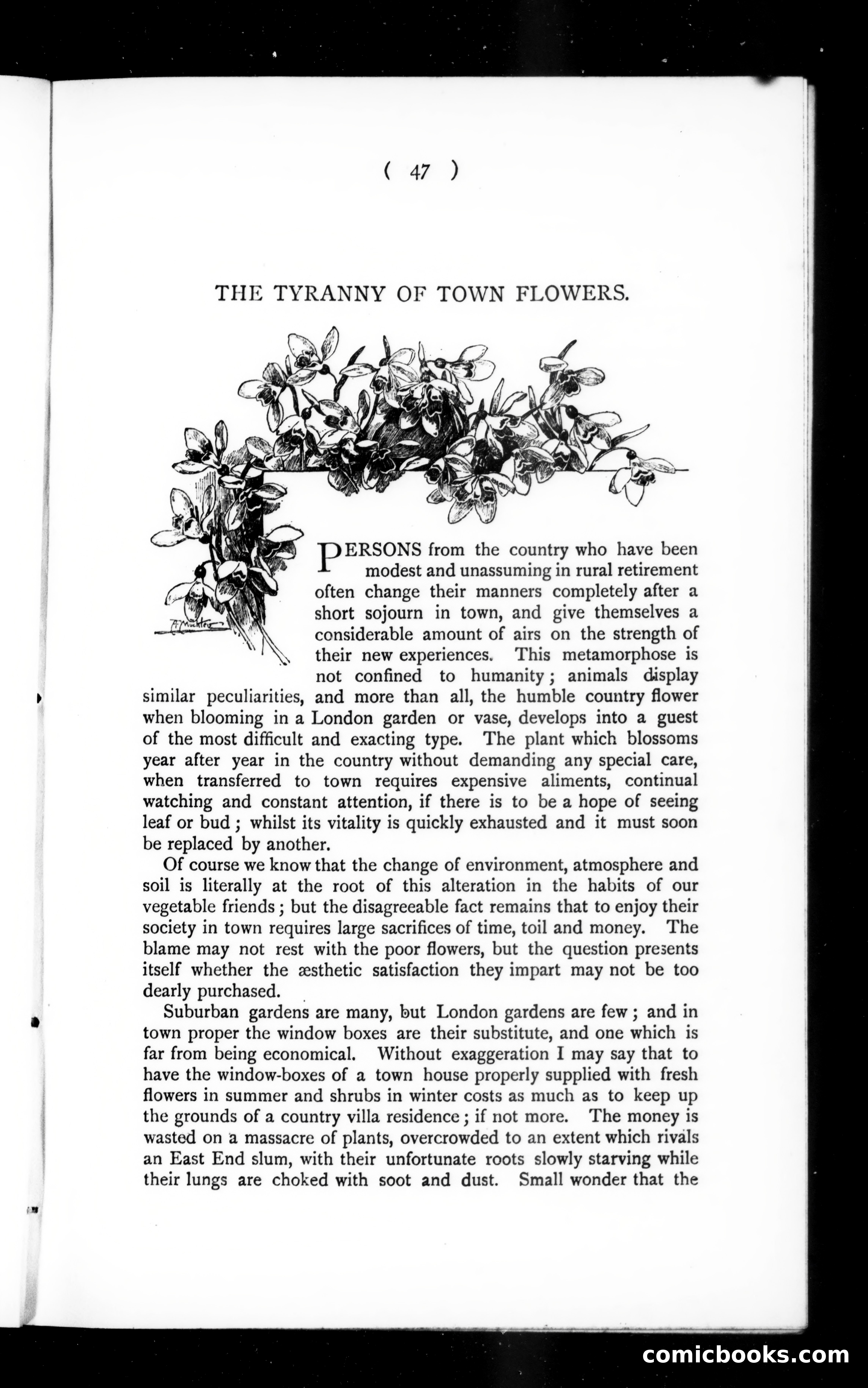 The Argosy, Vol. 59 — page 47 of 132