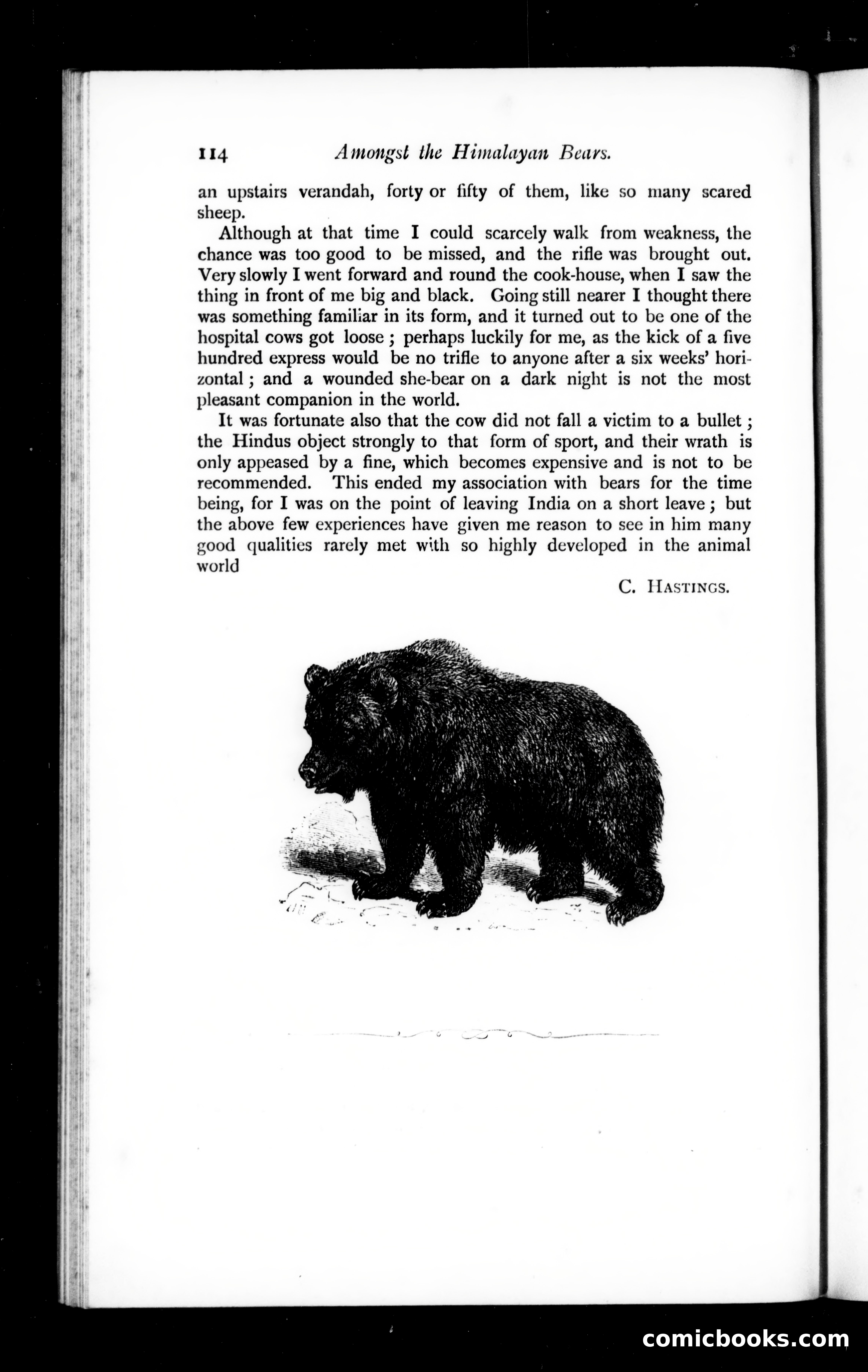 The Argosy, Vol. 59 — page 116 of 132